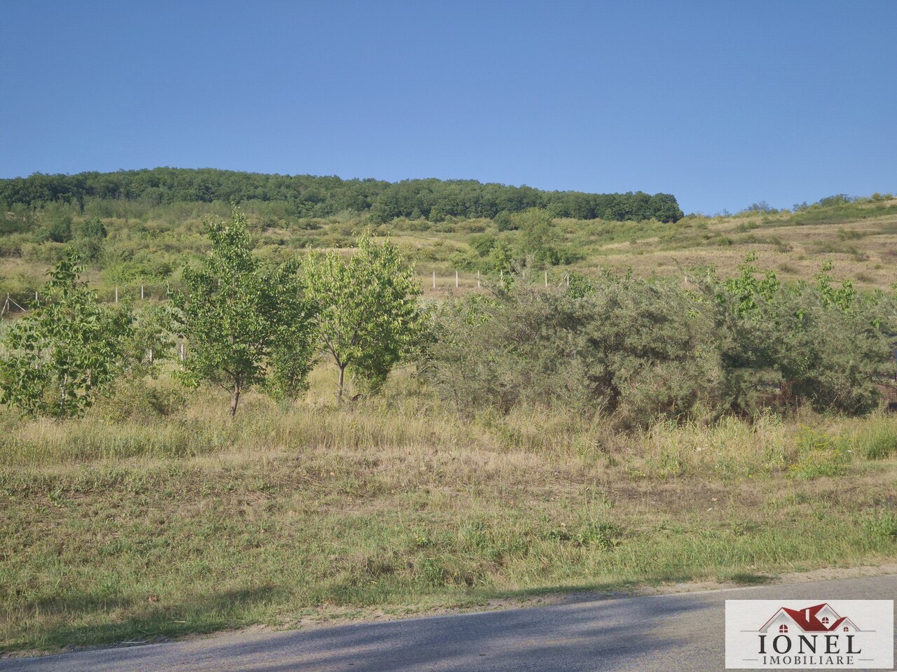 Teren intravilan 2500 mp de vanzare in Ciugud - Teleac