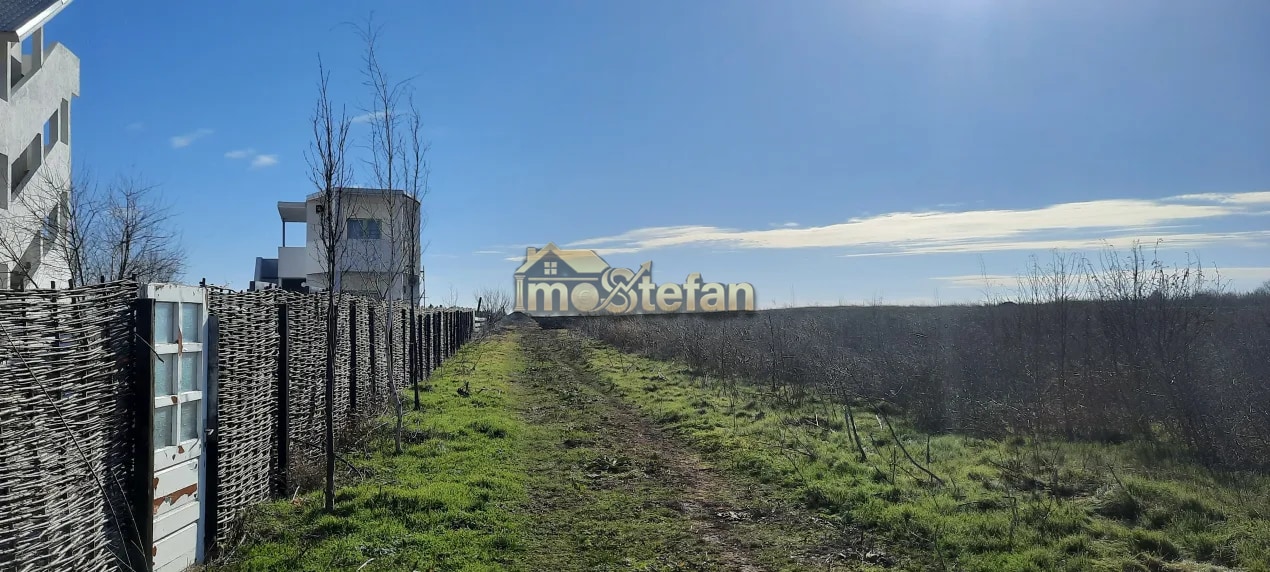 Teren Intravilan Vama Veche | 7.495 mp | Oportunitate Investiție — fotografia 6