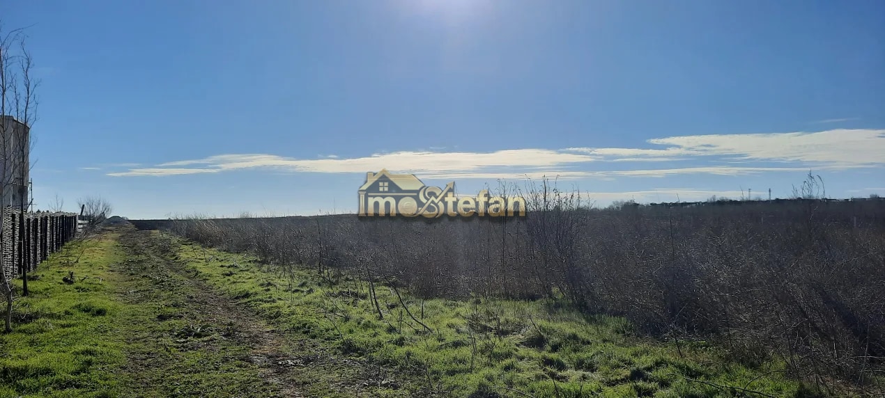 Teren Intravilan Vama Veche | 7.495 mp | Oportunitate Investiție — fotografia 7