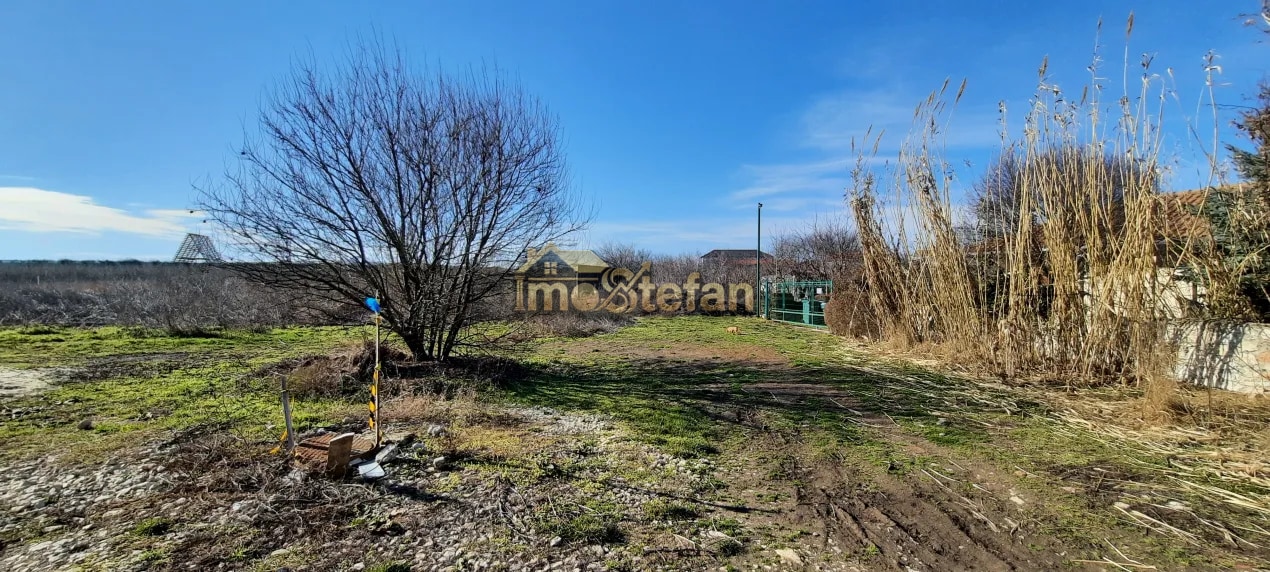 Teren Intravilan Vama Veche | 7.495 mp | Oportunitate Investiție — fotografia 8