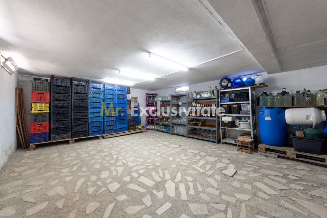 Casa visurilor cu livada roditoare si gradina amenajata — fotografia 13