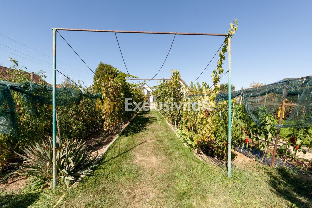 Casa visurilor cu livada roditoare si gradina amenajata — fotografia 3