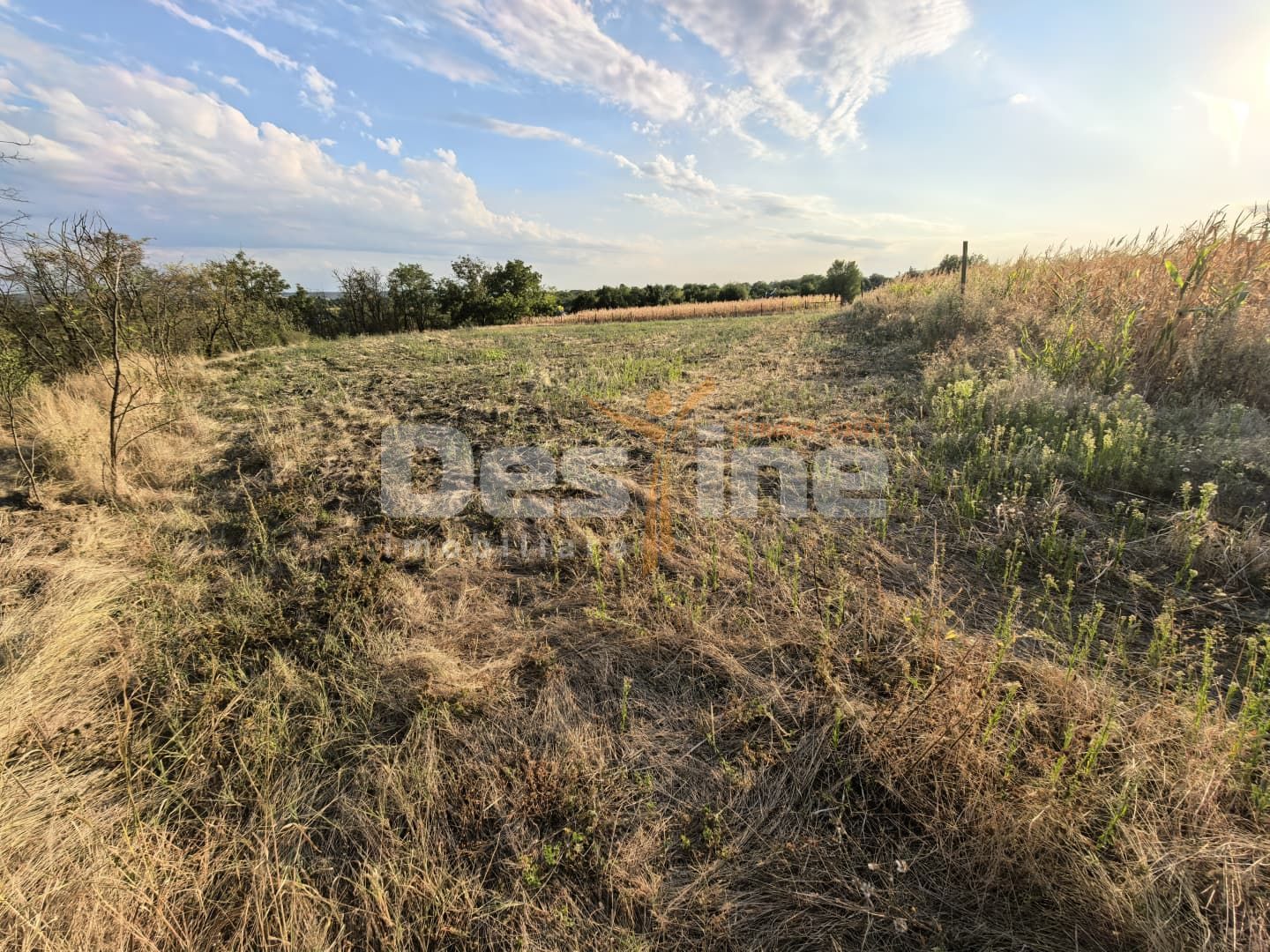 Teren intravilan 7600 mp cu certificat de urbanism P+2+M — fotografia 3