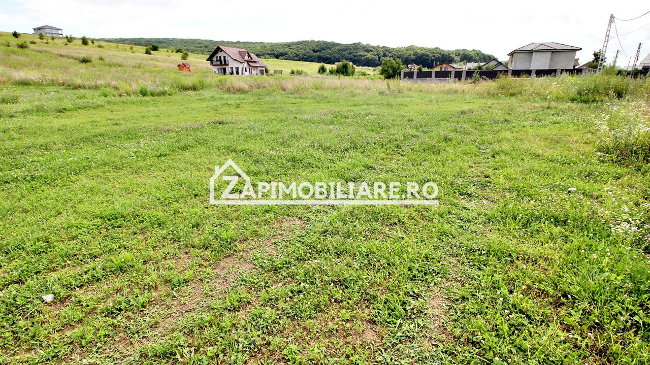 Teren 6.800mp teren cu deschidere de 100 m la drum asfaltat