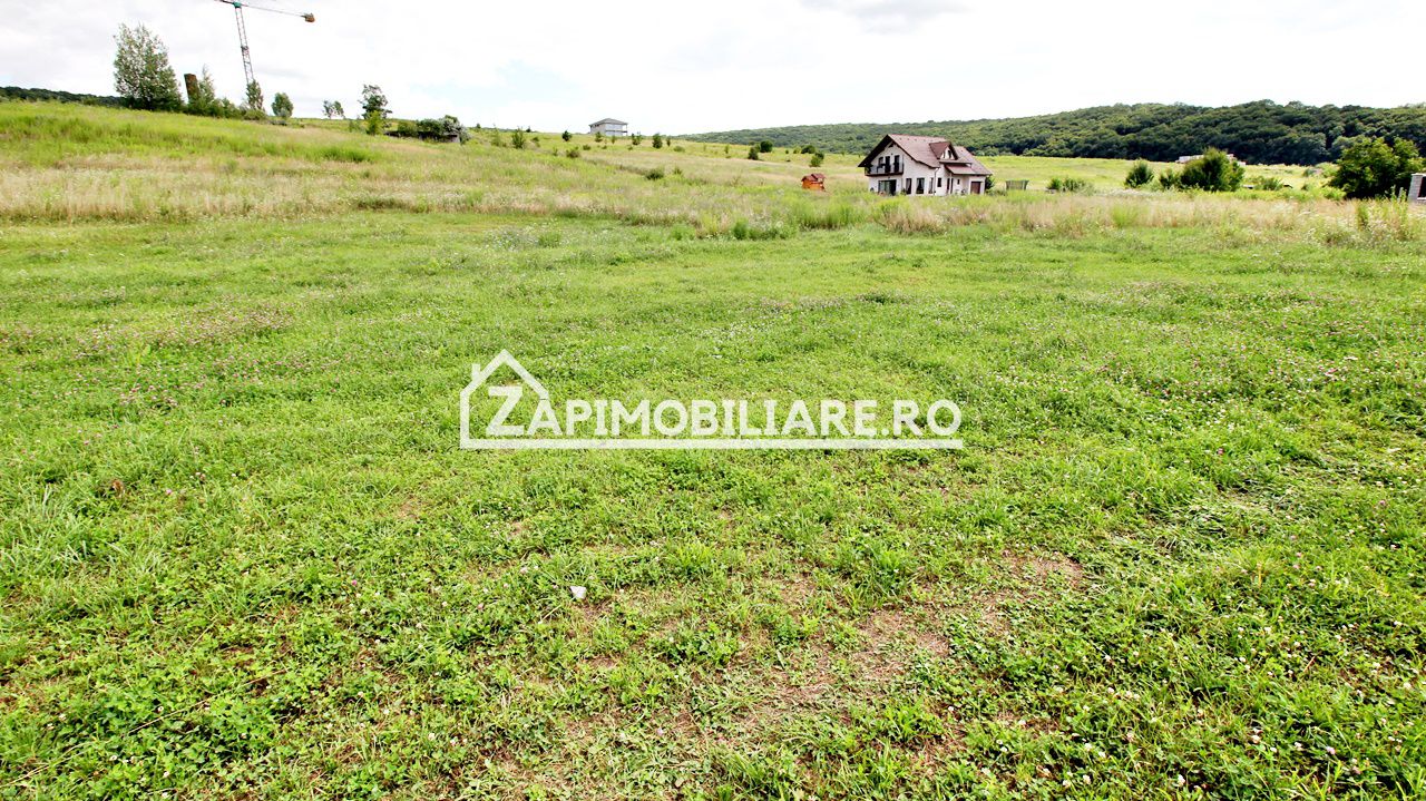 Teren 6.800mp teren cu deschidere de 100 m la drum asfaltat — fotografia 5