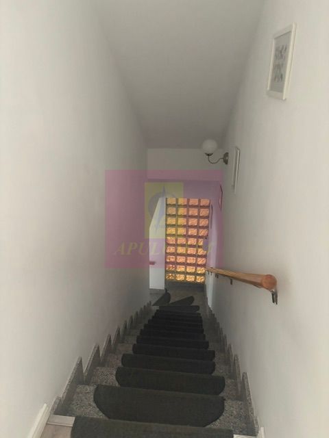 Vila D+P+1+M cu teren 446 mp Drumul Sarii. — fotografia 5
