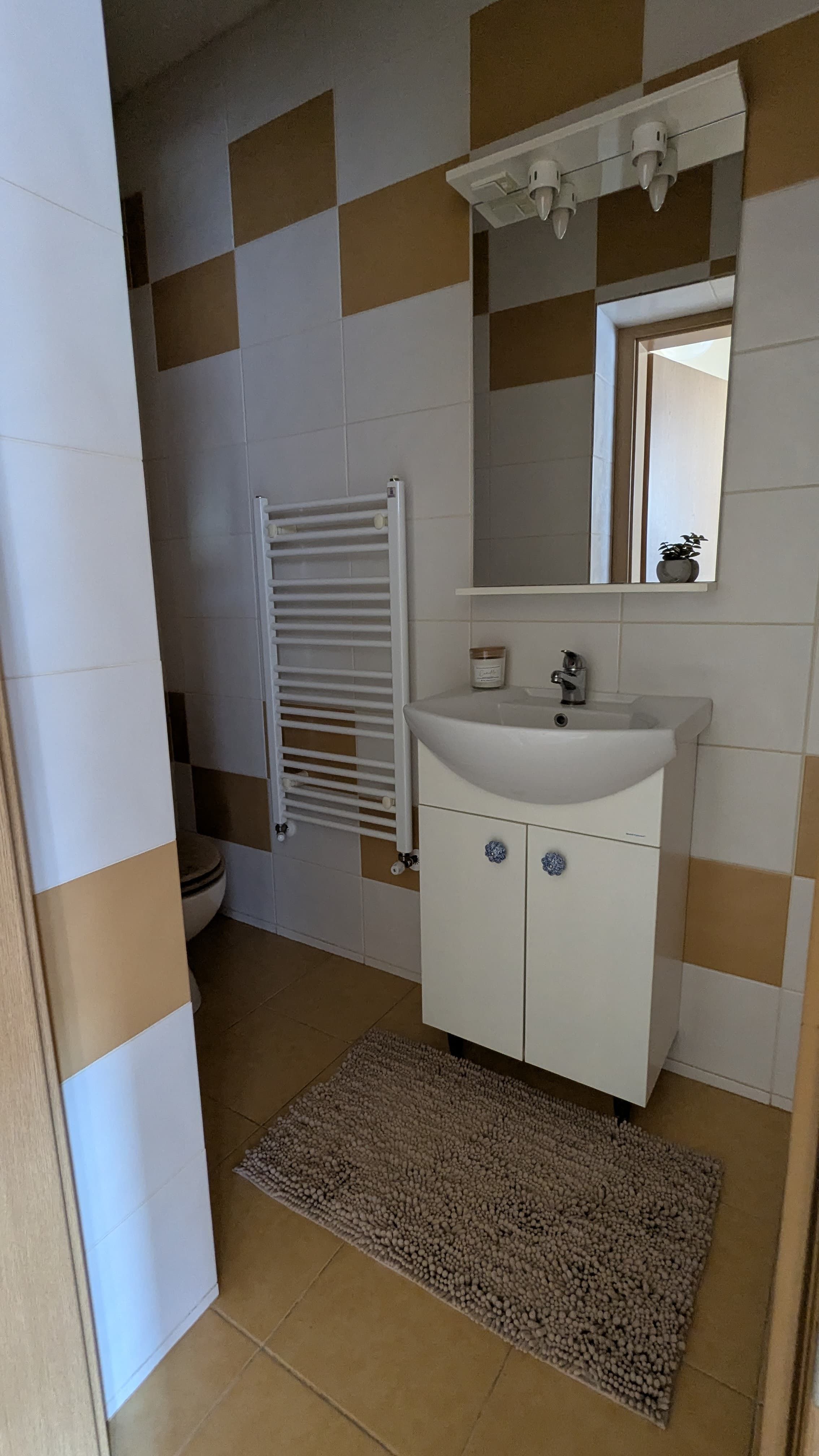 Penthouse, 100 mp utili, 50 mp terase — fotografia 3
