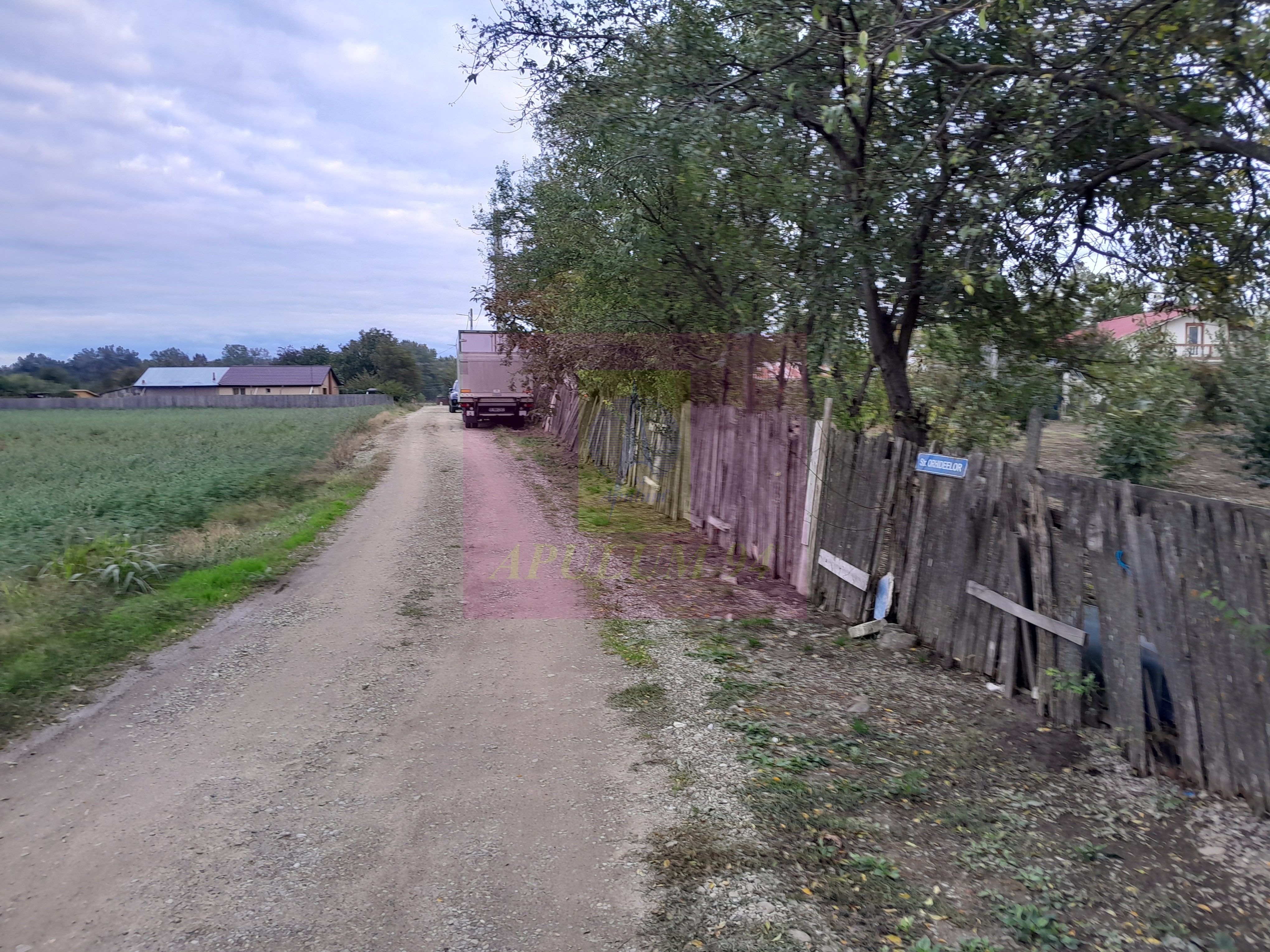 COSERENI (IL) - SE VINDE TEREN 2000 MP LA SOS BUCURESTI -URZICENI — fotografia 4