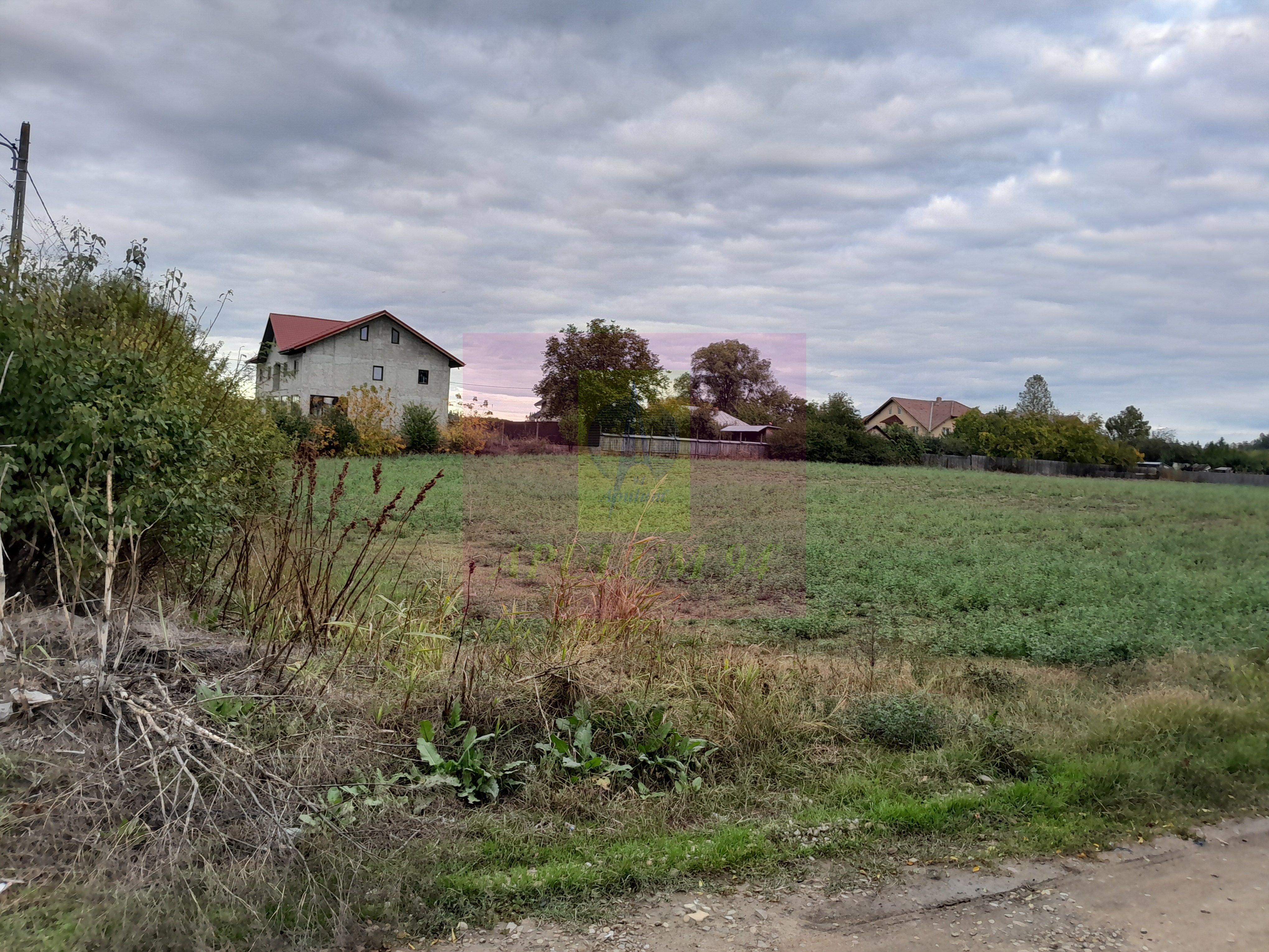 COSERENI (IL) - SE VINDE TEREN 2000 MP LA SOS BUCURESTI -URZICENI — fotografia 5