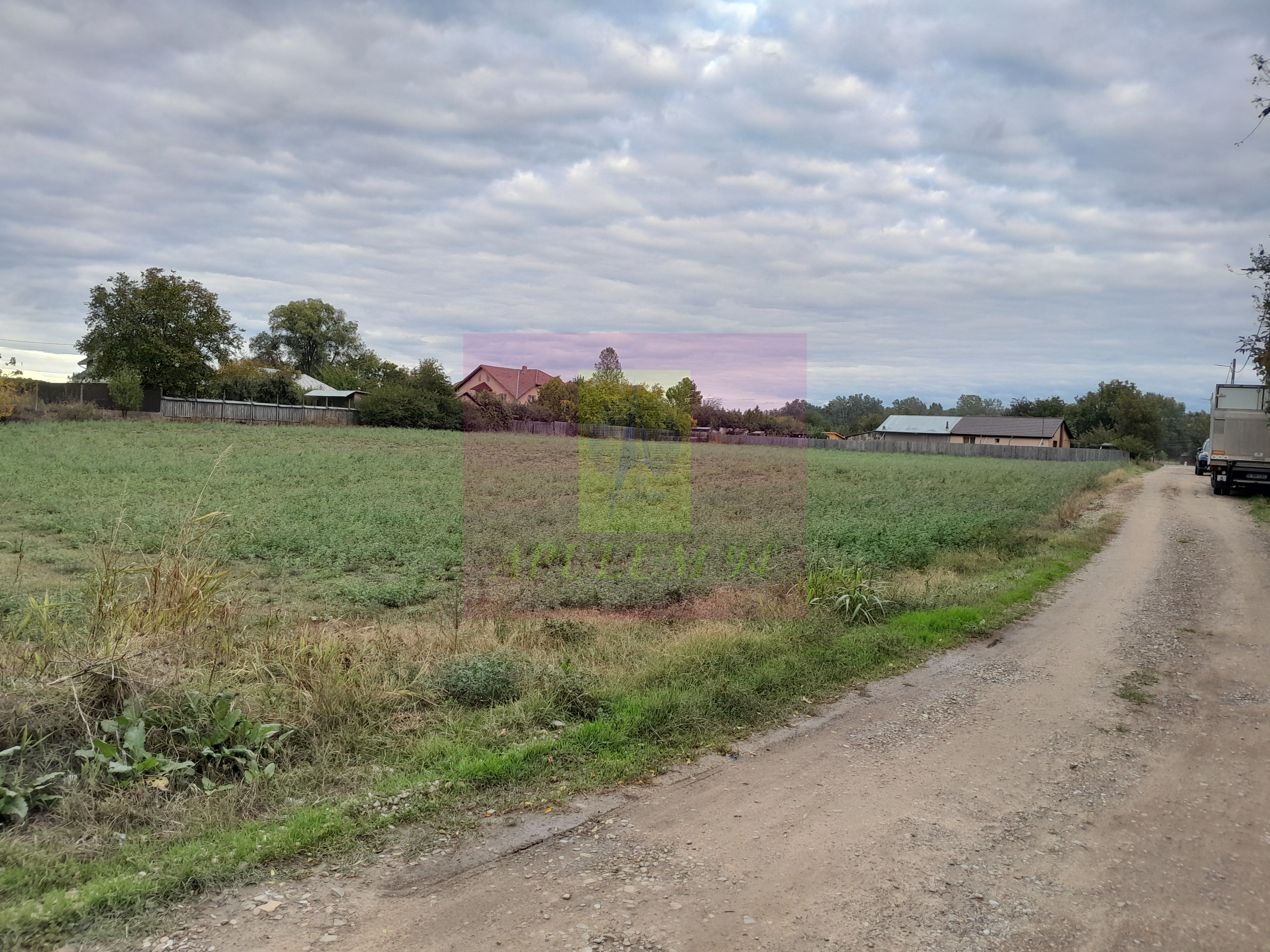 COSERENI (IL) - SE VINDE TEREN 2000 MP LA SOS BUCURESTI -URZICENI — fotografia 6