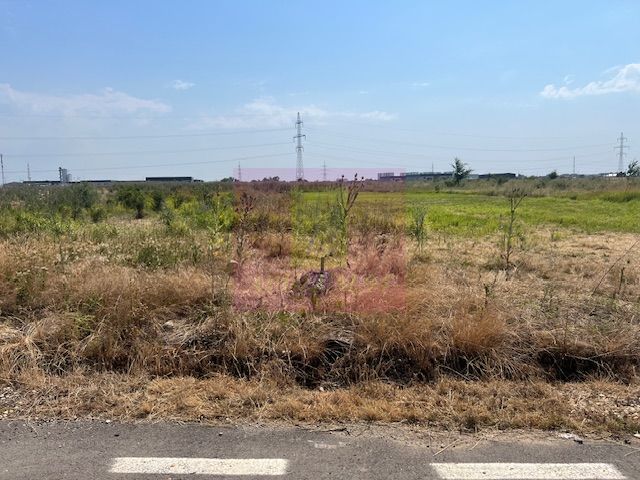 Teren Domnesti- Fortului. — fotografia 3