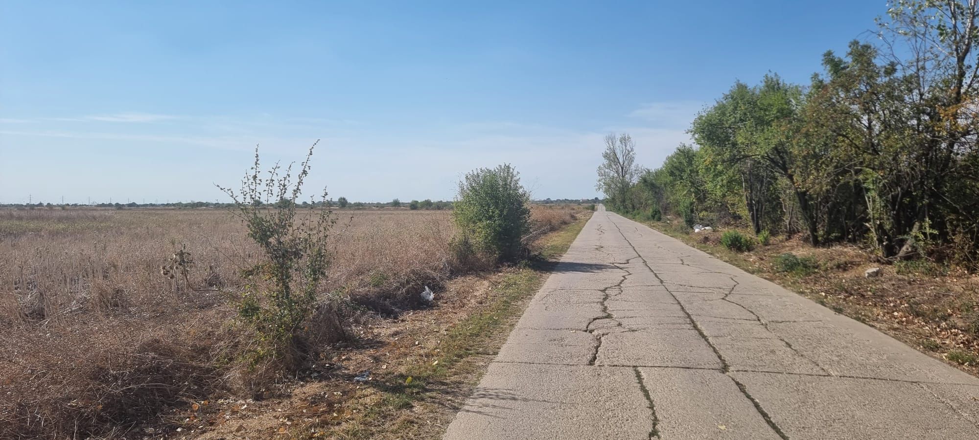 Oportunitate de investitie | Teren intravilan de vanzare | 10.000 mp — fotografia 6
