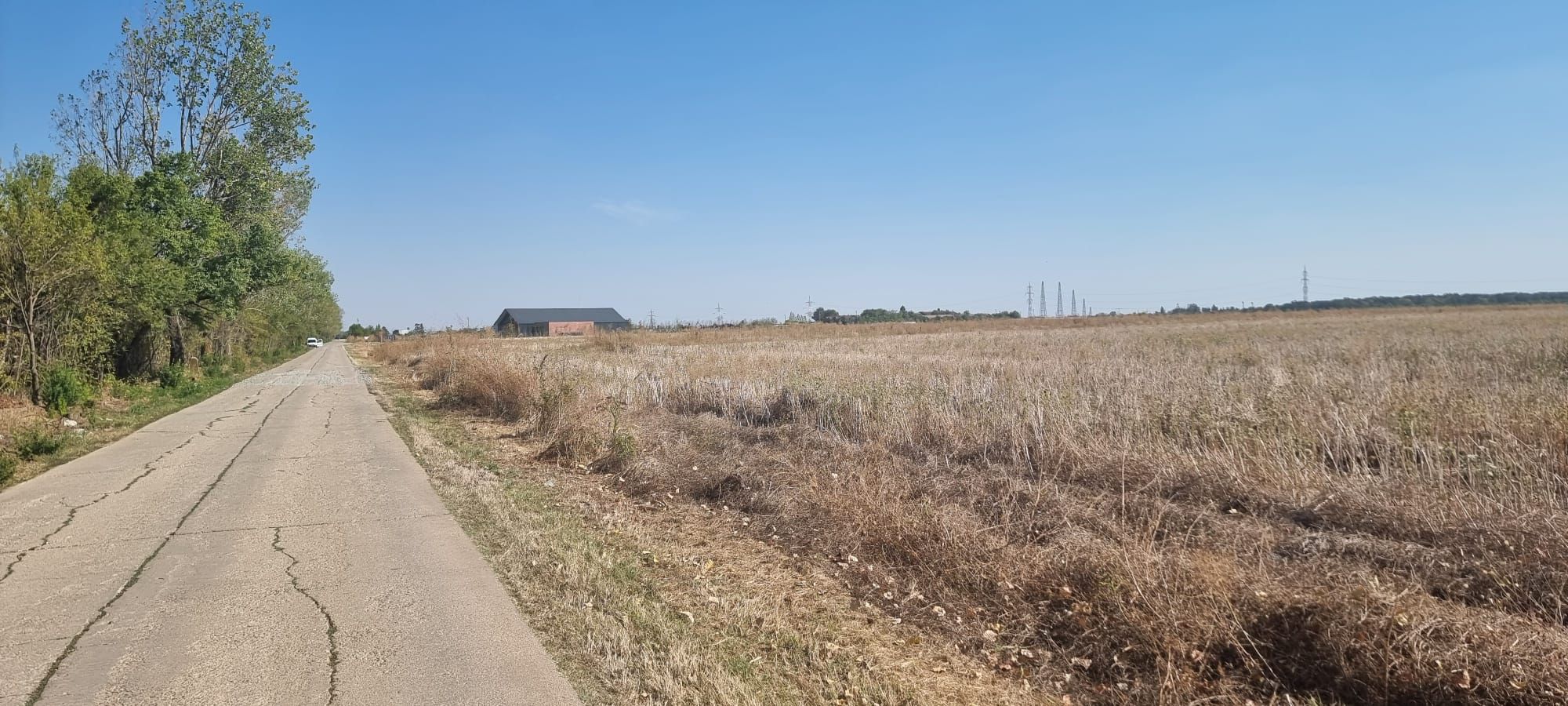 Oportunitate de investitie | Teren intravilan de vanzare | 10.000 mp — fotografia 7