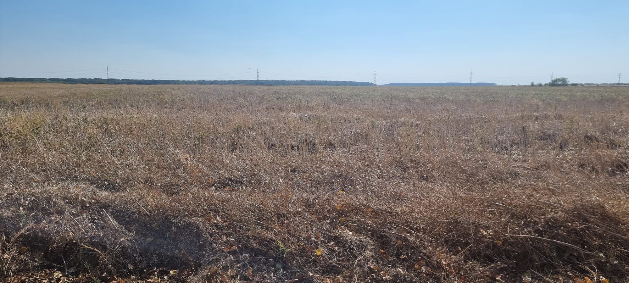 Oportunitate de investitie | Teren intravilan de vanzare | 10.000 mp — fotografia 8