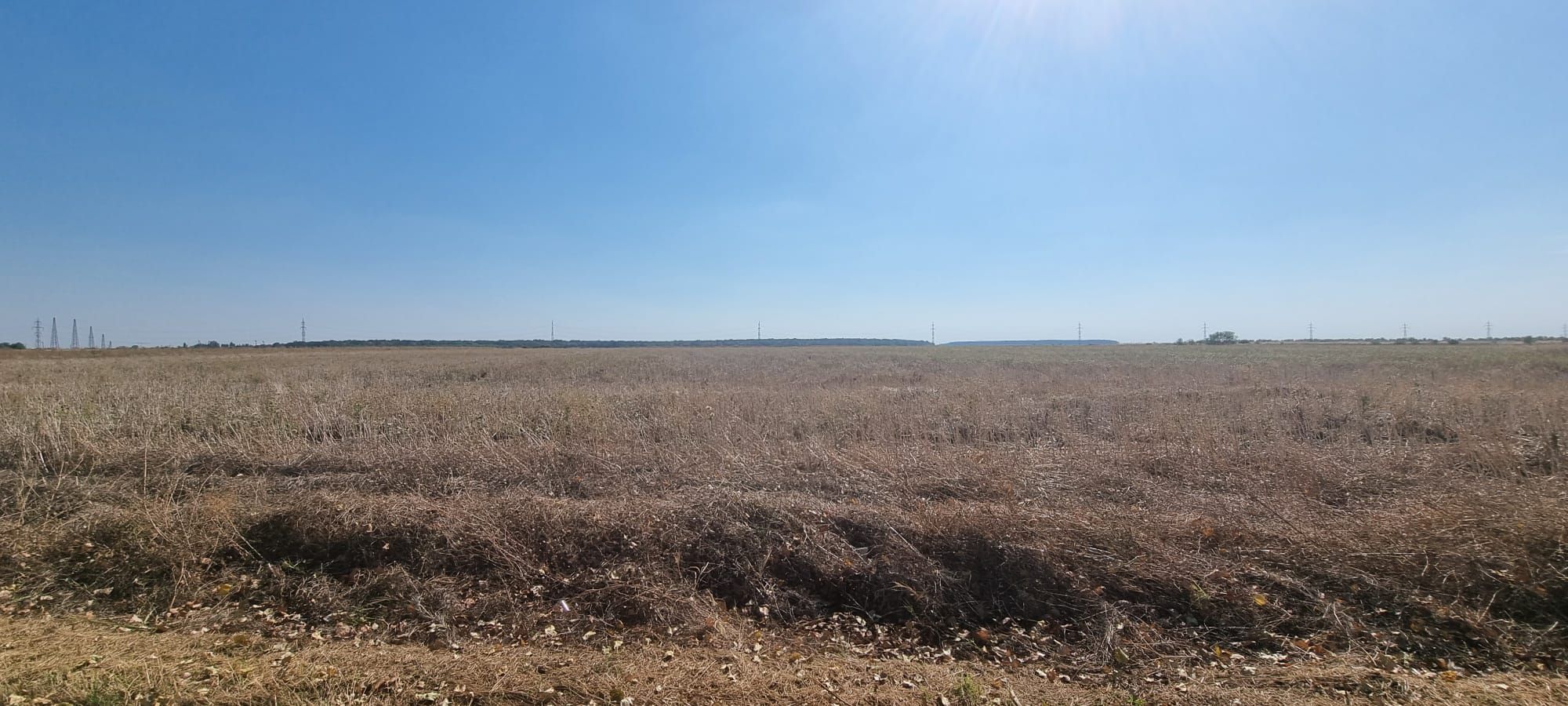 Oportunitate de investitie | Teren intravilan de vanzare | 10.000 mp — fotografia 9