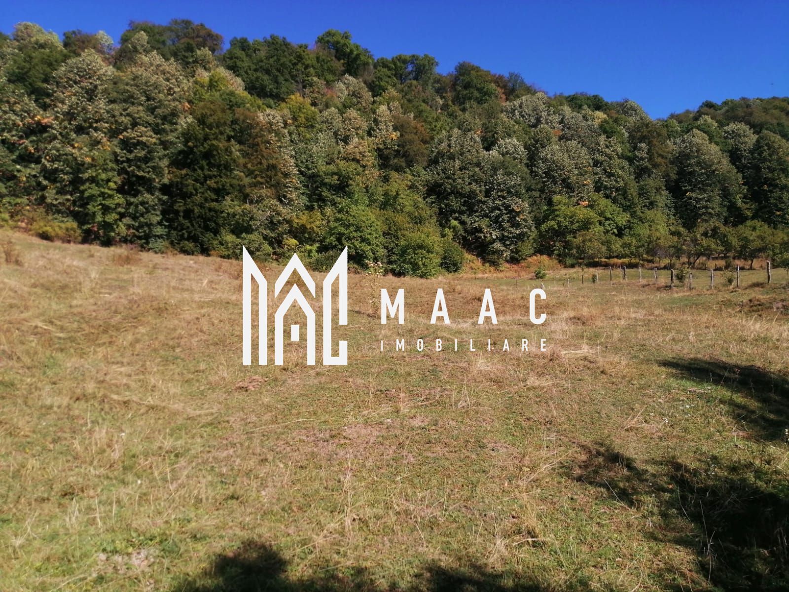 Teren Extravilan 20.000Mp I Stoenești -Vâlcea I Apă Curentă și Pădure — fotografia 11