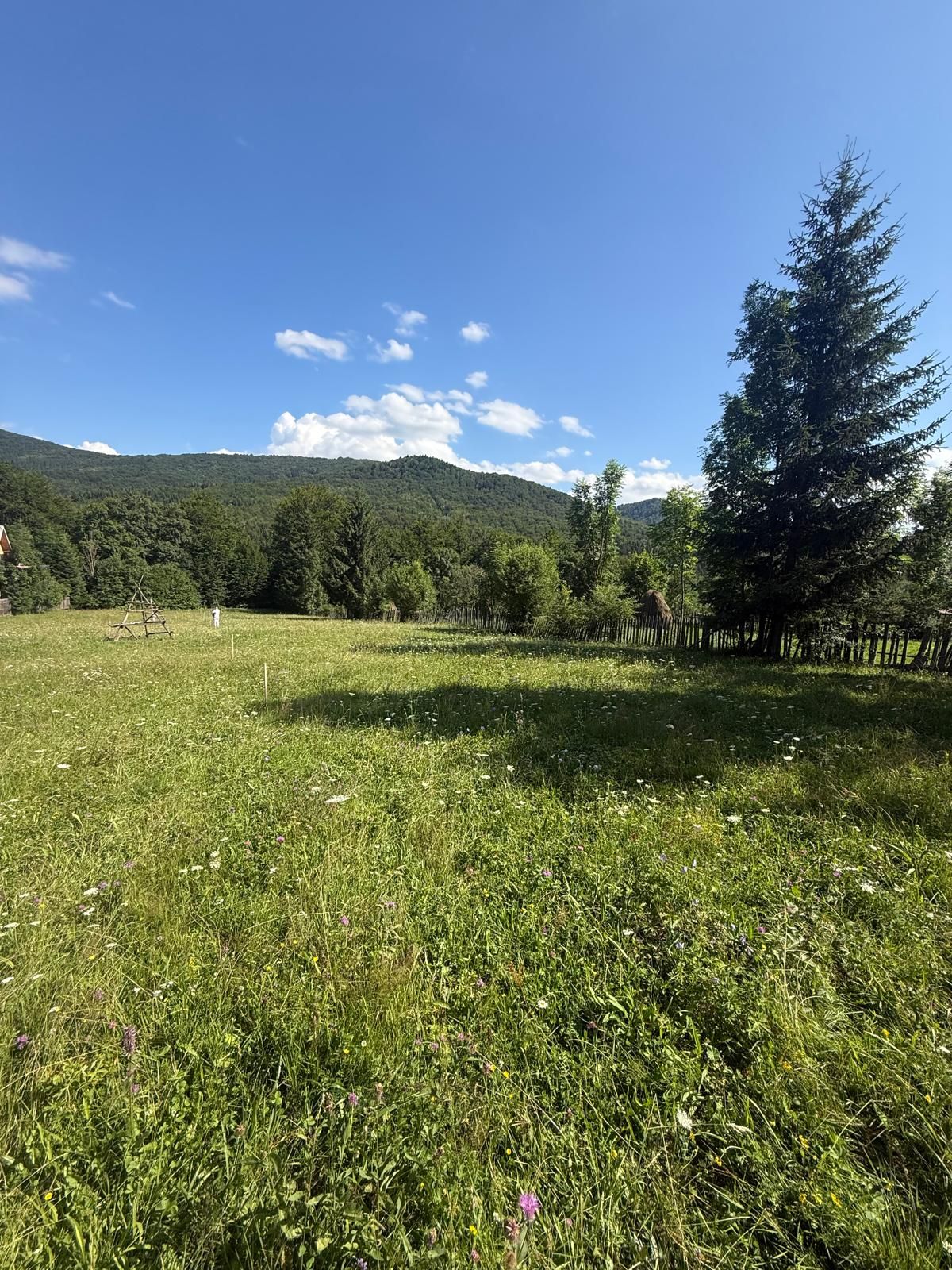 Teren intravilan 1662 mp pozitie superba-Calea Brasovului Valea Neagra — fotografia 12