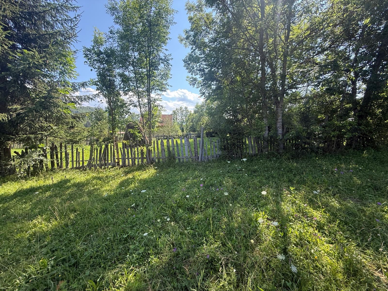 Teren intravilan 1662 mp pozitie superba-Calea Brasovului Valea Neagra — fotografia 13