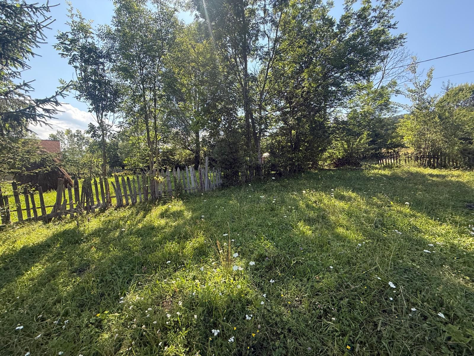 Teren intravilan 1662 mp pozitie superba-Calea Brasovului Valea Neagra — fotografia 15