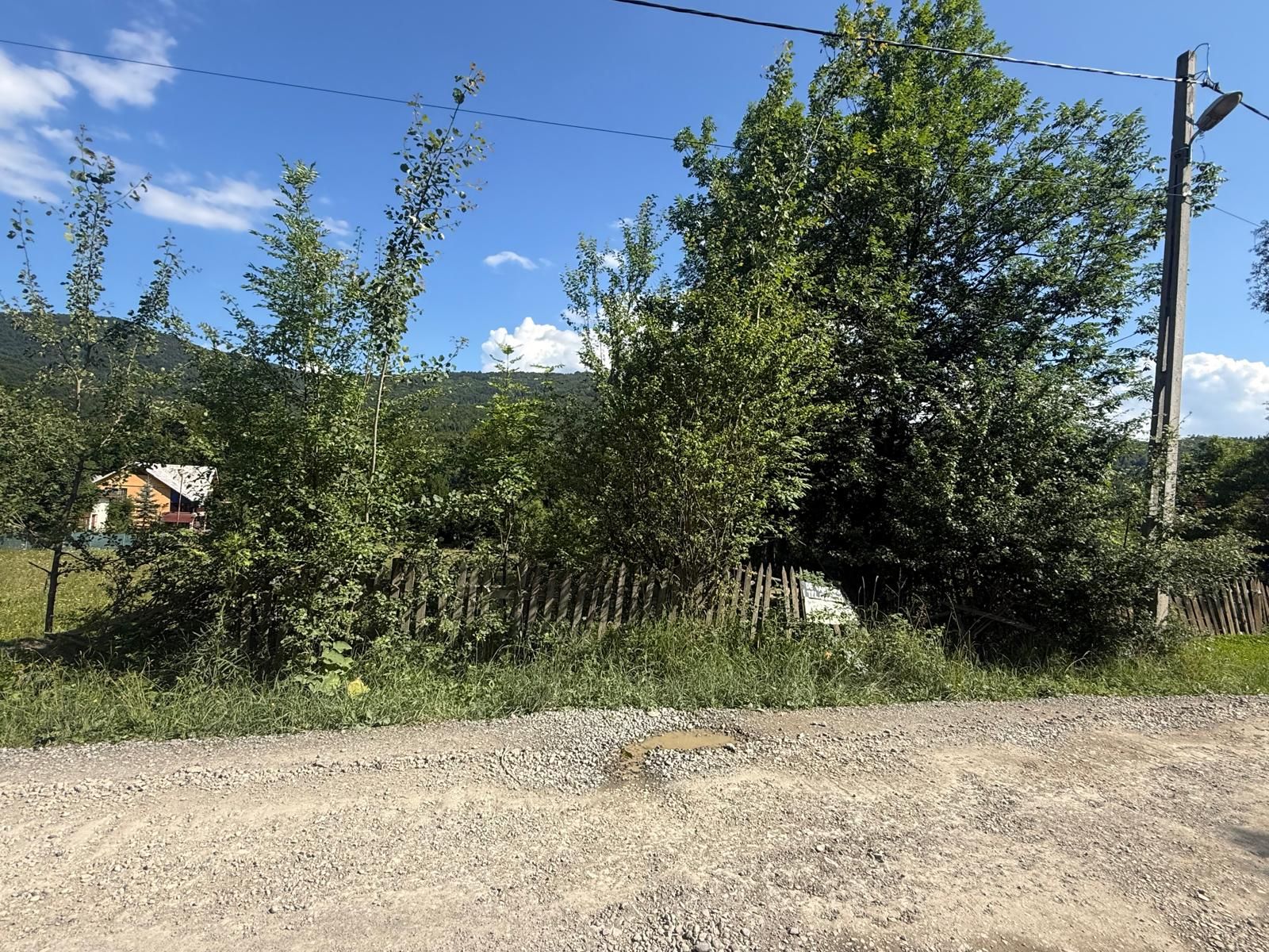 Teren intravilan 1662 mp pozitie superba-Calea Brasovului Valea Neagra — fotografia 16