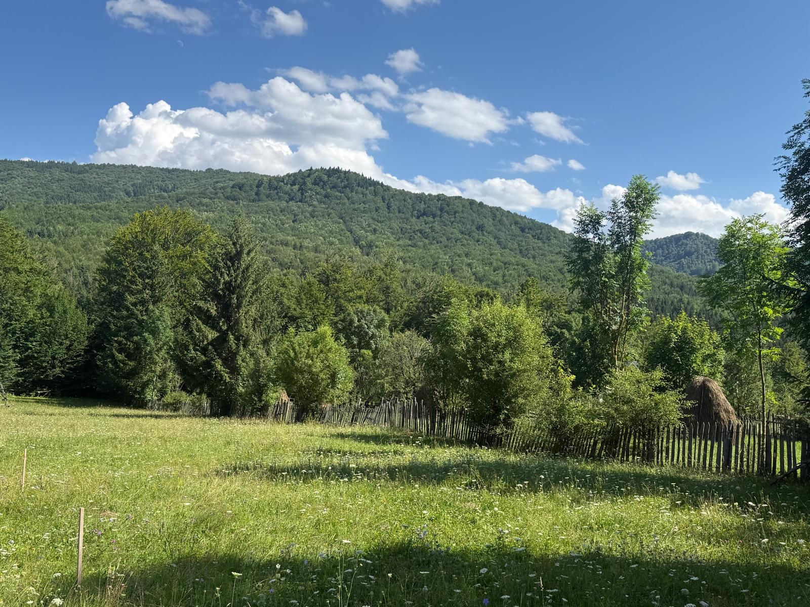 Teren intravilan 1662 mp pozitie superba-Calea Brasovului Valea Neagra — fotografia 5