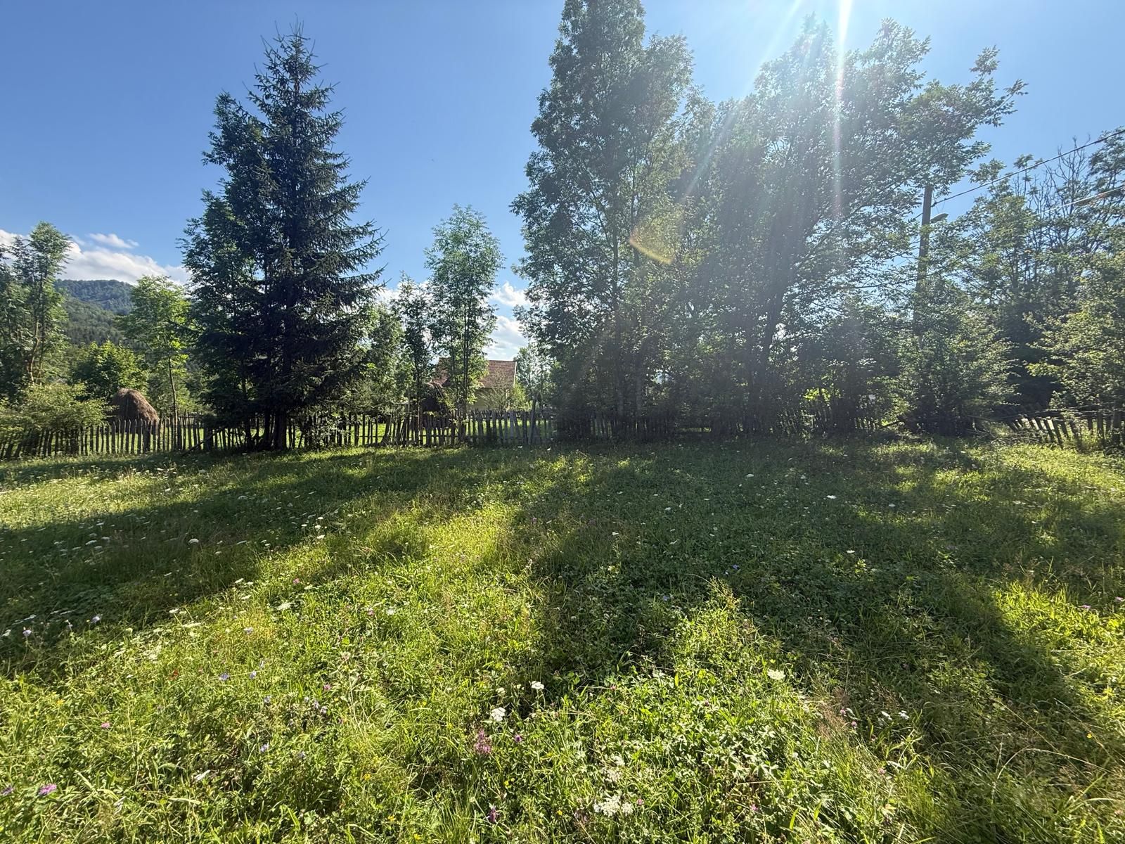 Teren intravilan 1662 mp pozitie superba-Calea Brasovului Valea Neagra — fotografia 7