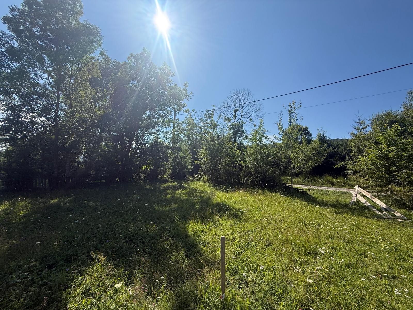 Teren intravilan 1662 mp pozitie superba-Calea Brasovului Valea Neagra — fotografia 9