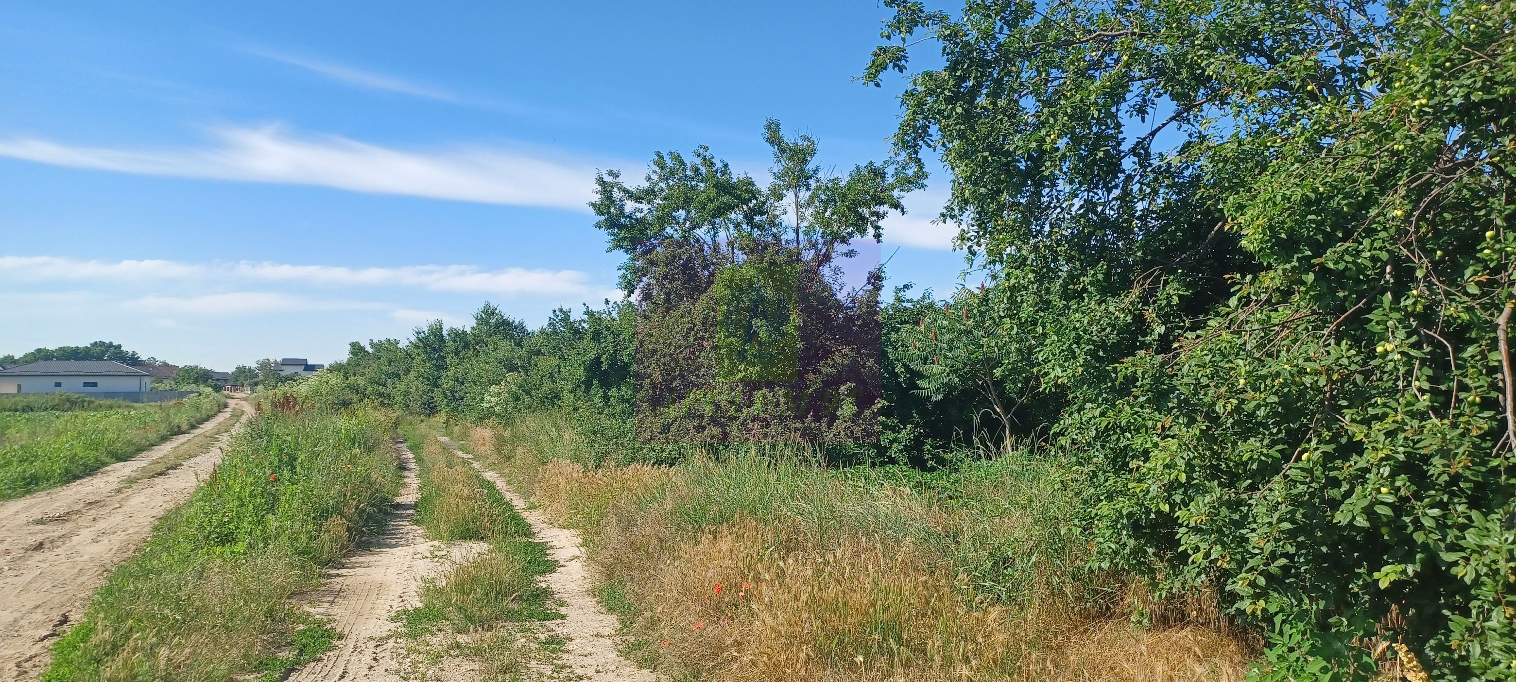 Teren 3500 mp, intravilan, pretabil case, Săbăreni — fotografia 3