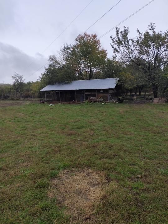 VIla Teisani si 11250 mp teren — fotografia 10