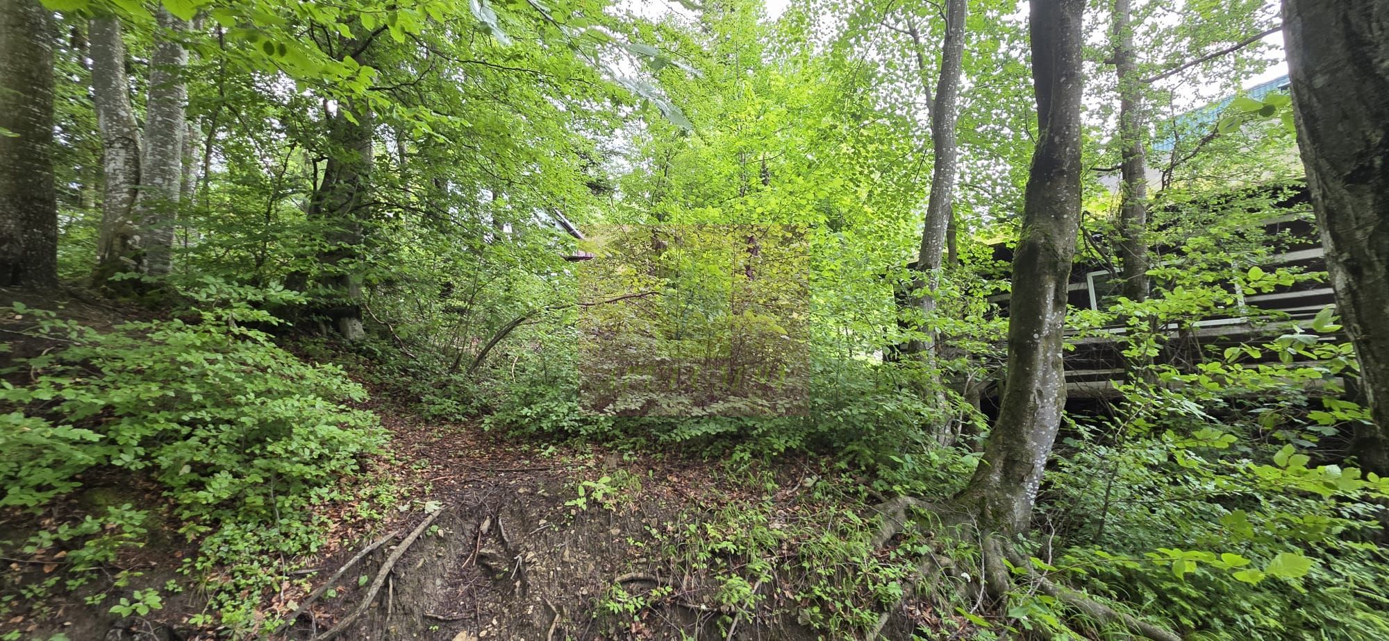 Teren intravilan 720 mp Sinaia — fotografia 5