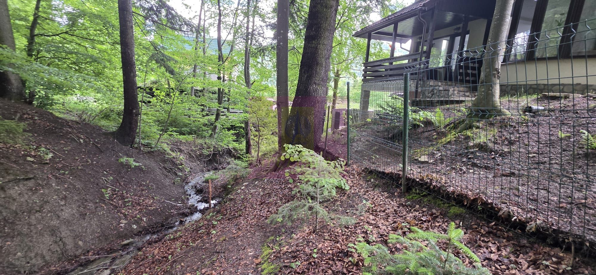 Teren intravilan 720 mp Sinaia — fotografia 6