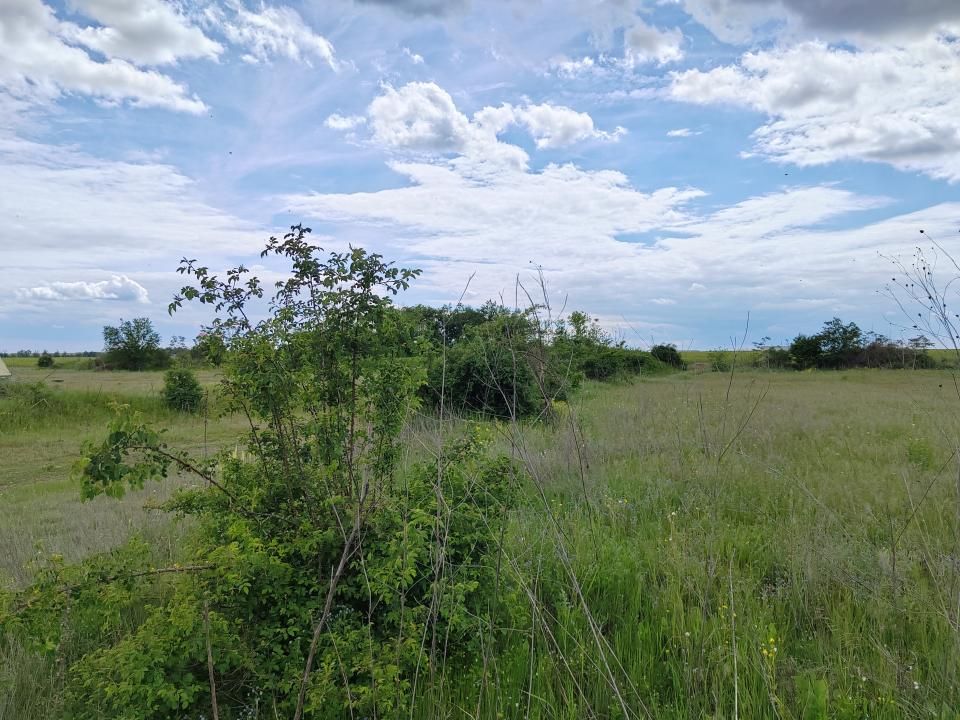 Teren extravilan, 114000 mp, Parc industrial West Park — fotografia 18