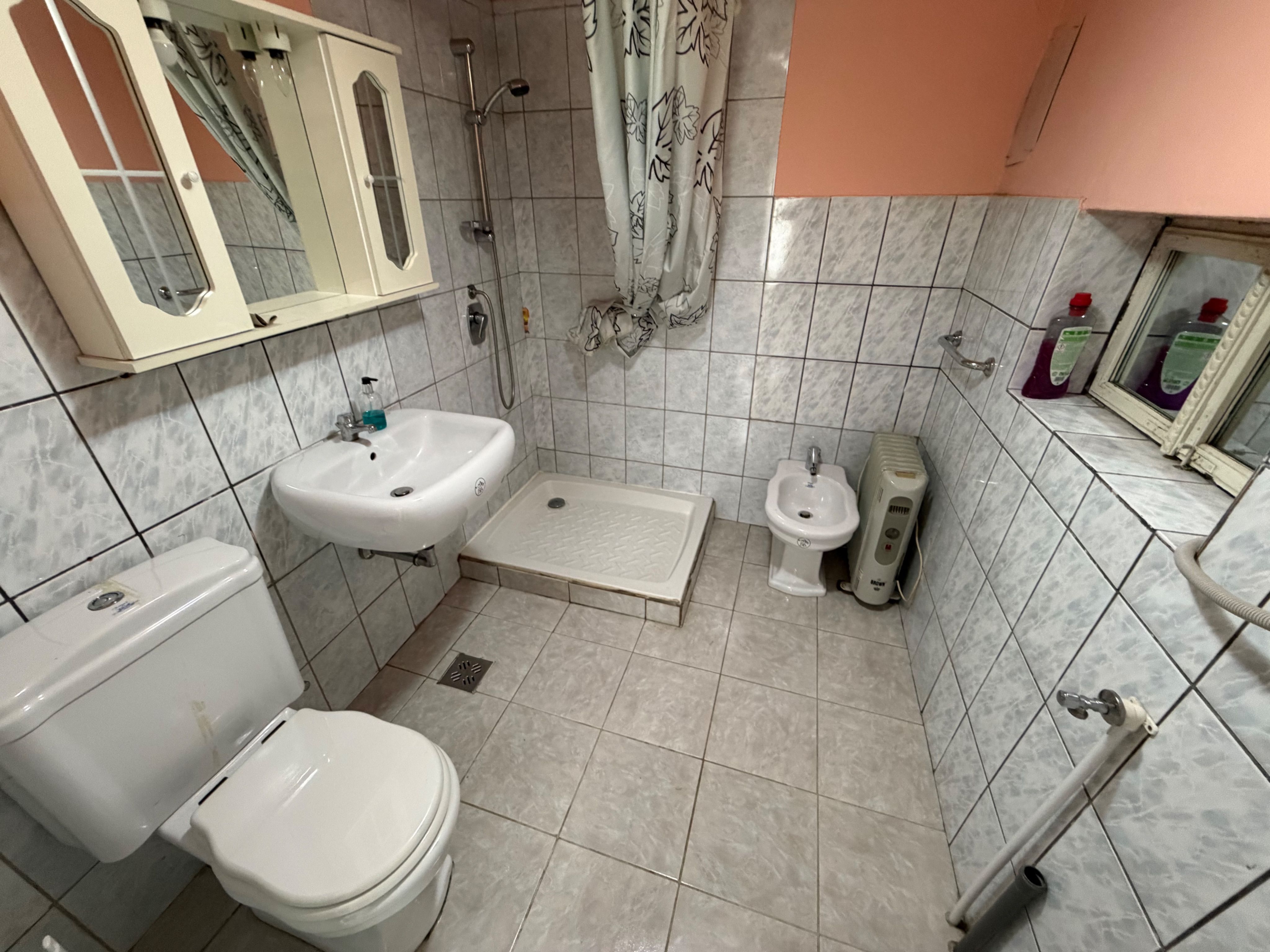 Casa de vanzare 255mp utili, 1974mp teren - Balomir — fotografia 7