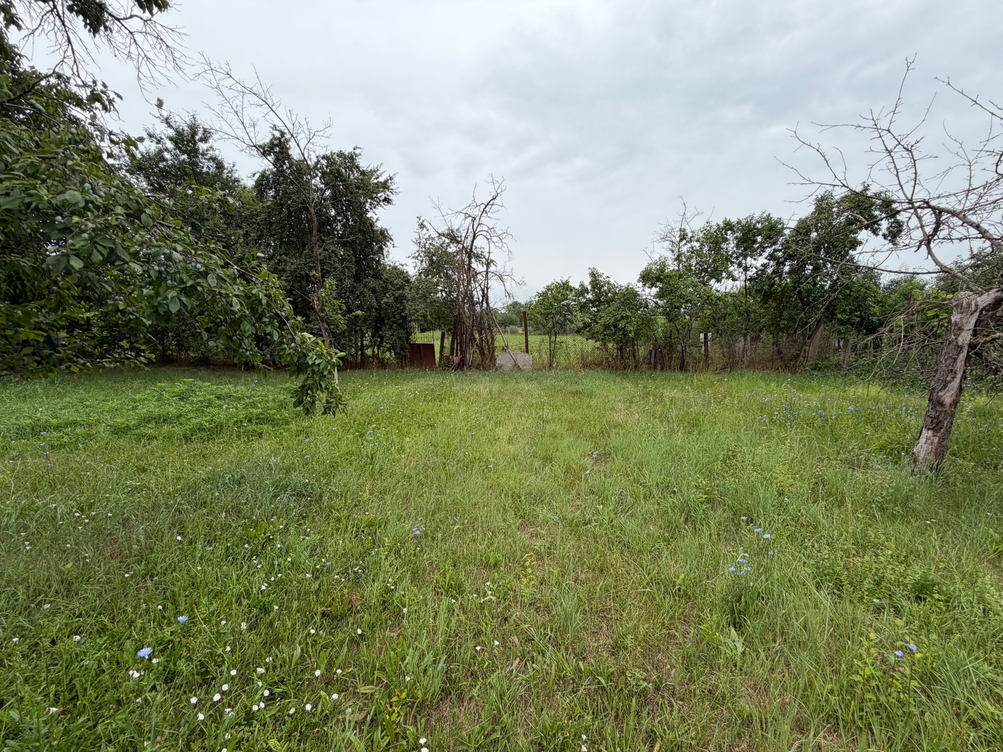 Casa de vanzare 255mp utili, 1974mp teren - Balomir — fotografia 8