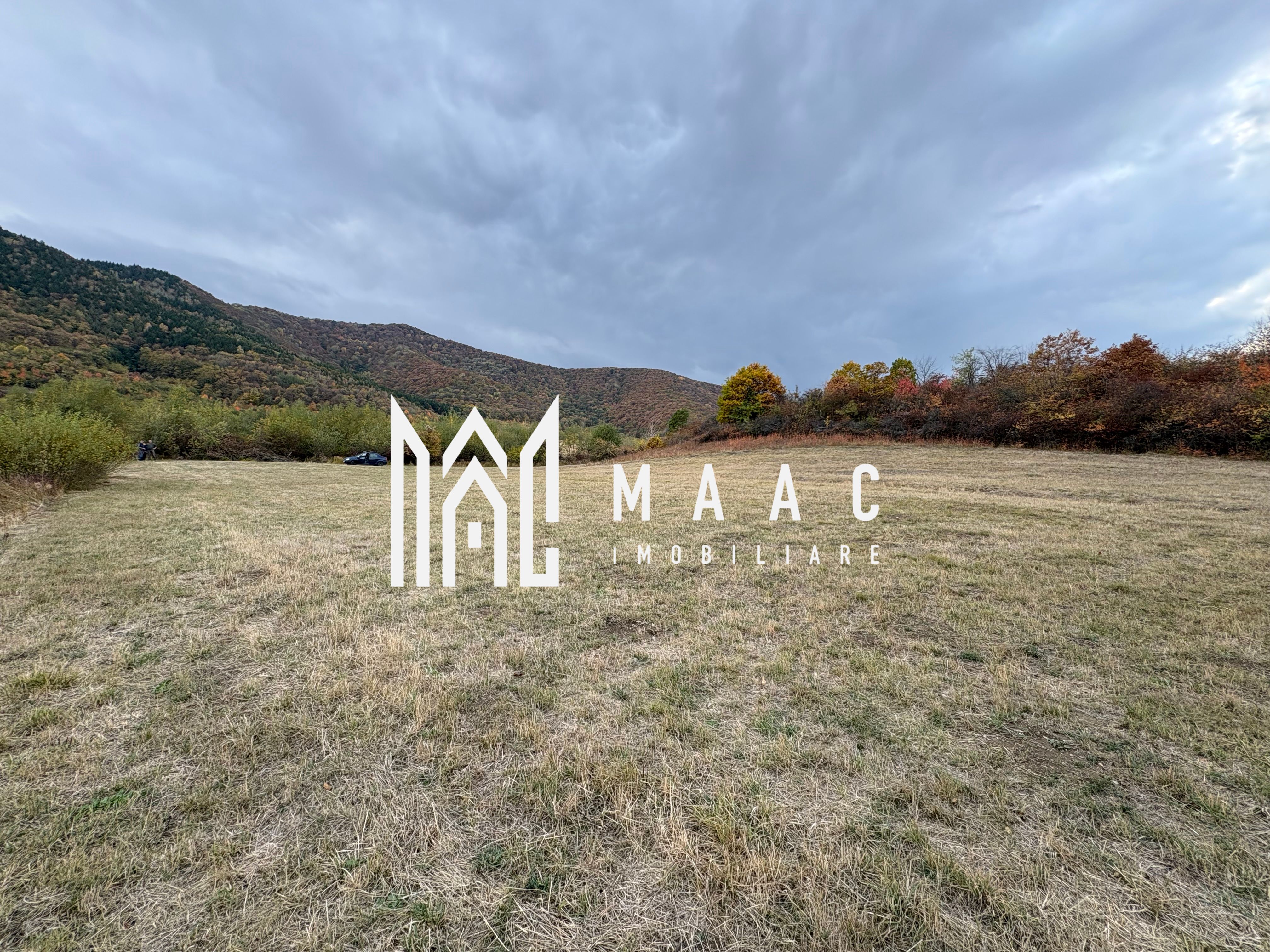 Teren de vânzare 5.000 mp | Poplaca | lângă pădure — fotografia 2