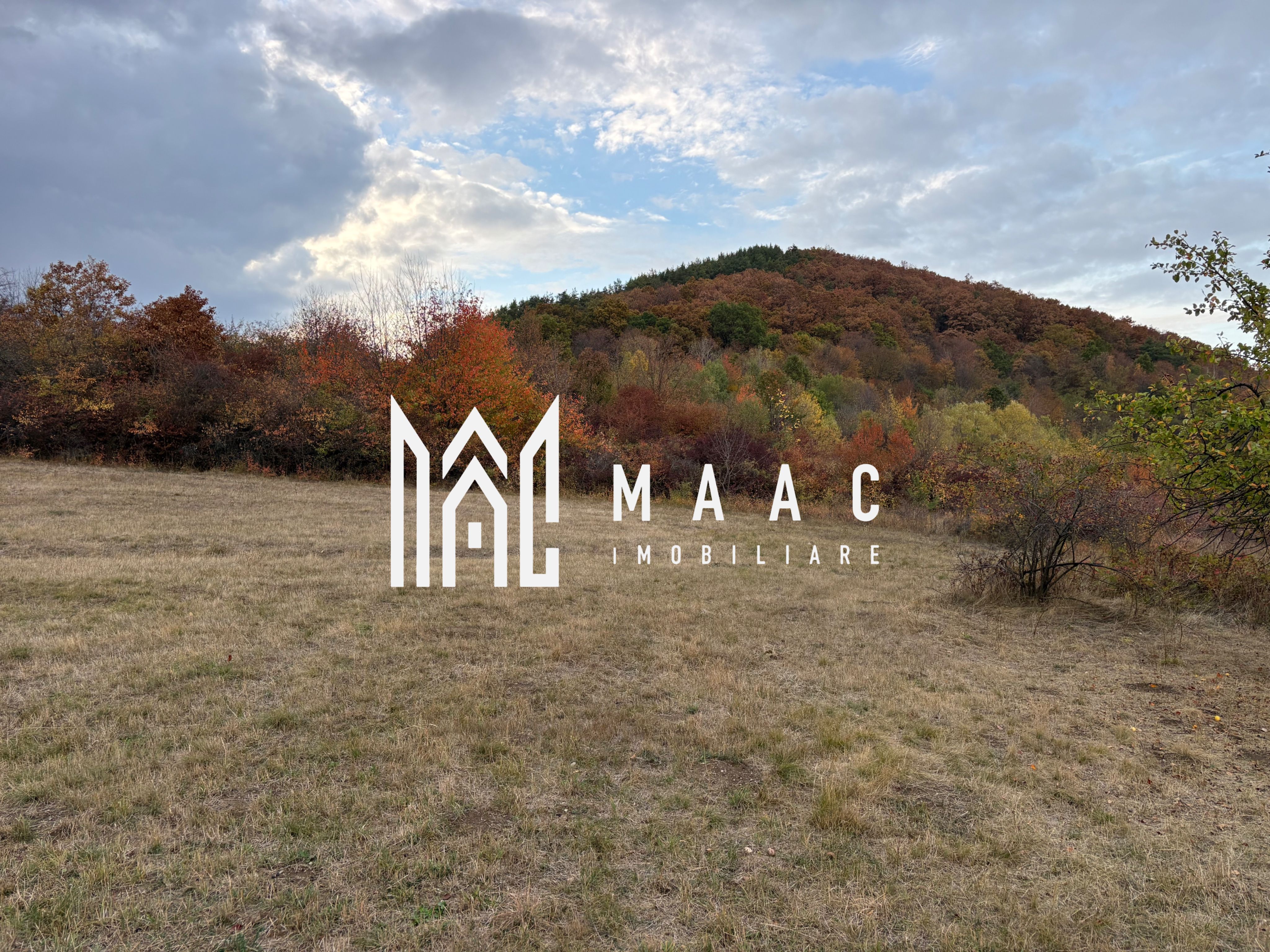 Teren de vânzare 5.000 mp | Poplaca | lângă pădure — fotografia 3