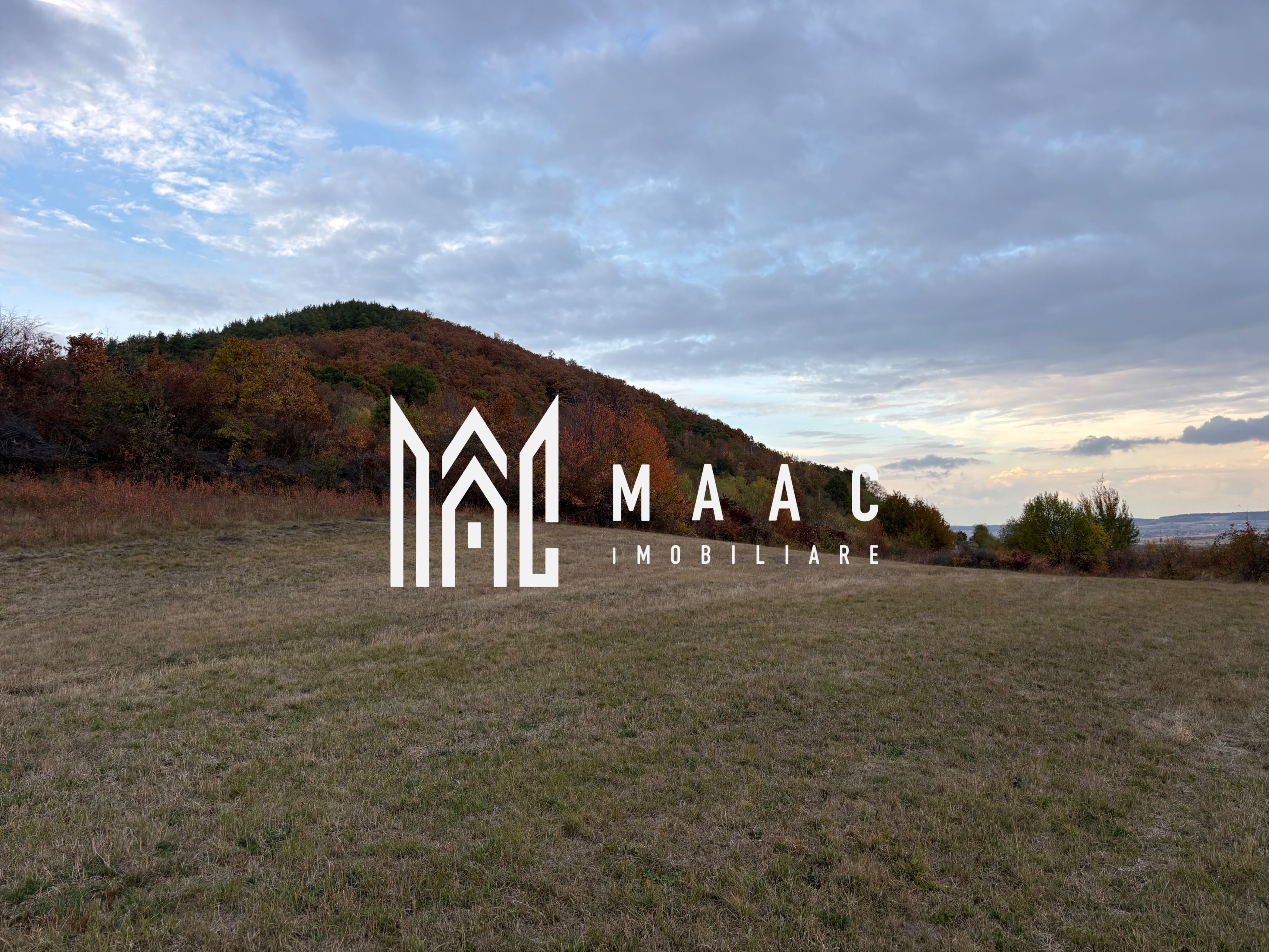 Teren de vânzare 5.000 mp | Poplaca | lângă pădure — fotografia 4