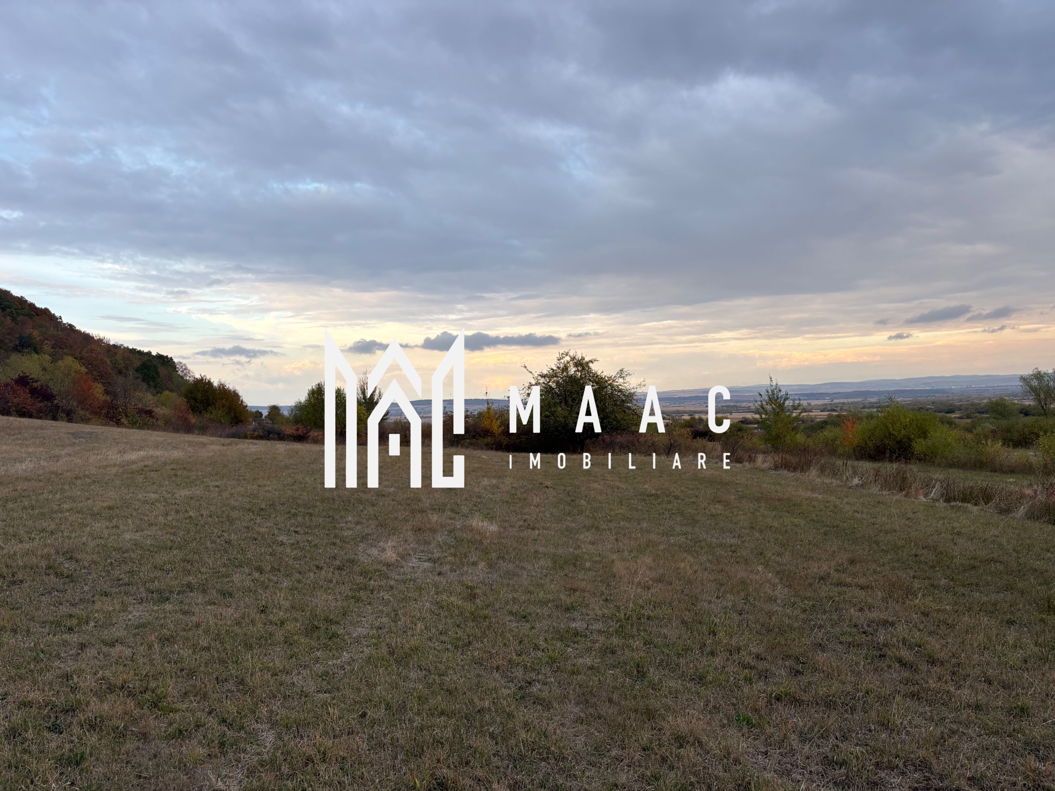 Teren de vânzare 5.000 mp | Poplaca | lângă pădure — fotografia 5