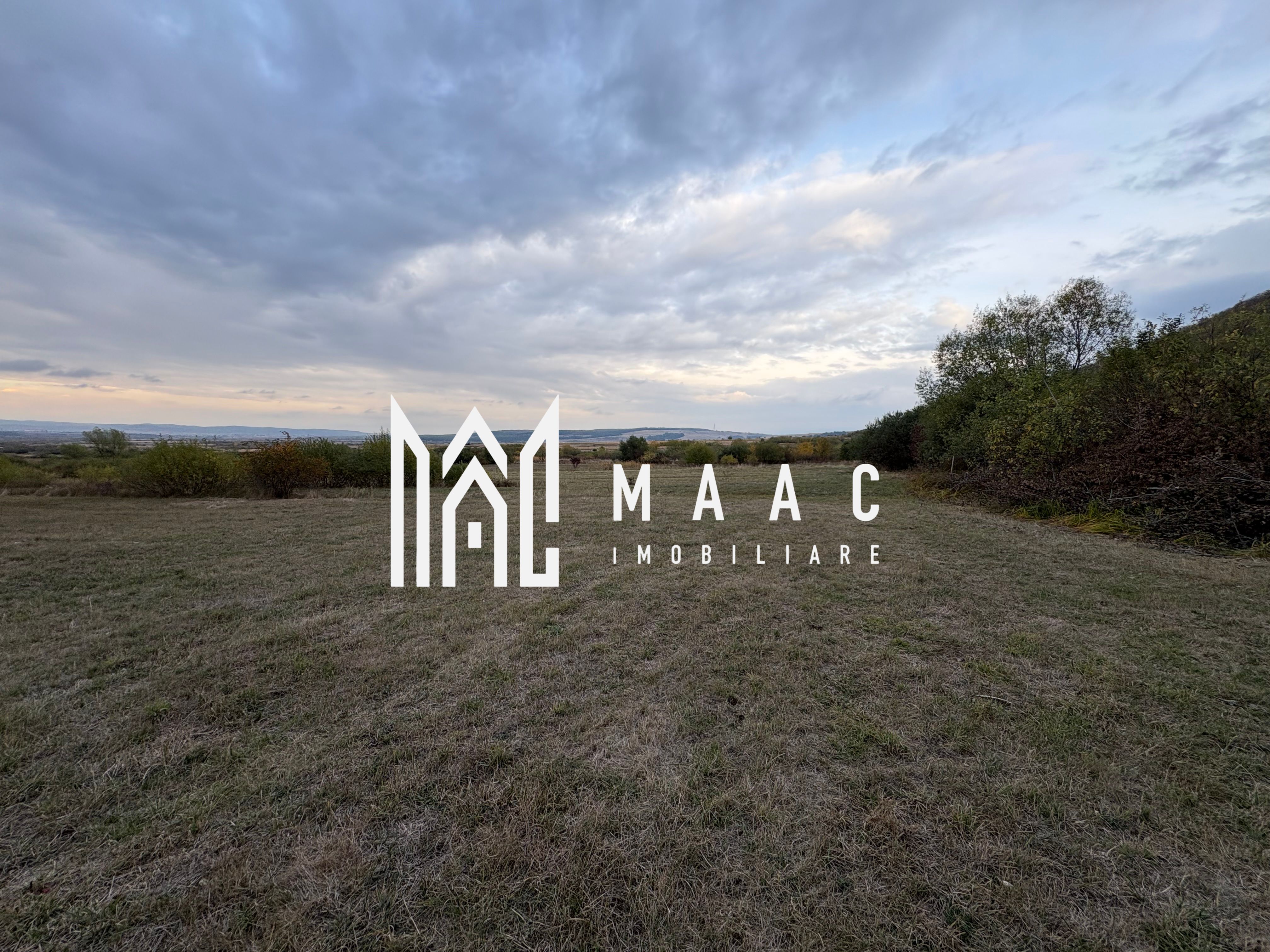 Teren de vânzare 5.000 mp | Poplaca | lângă pădure — fotografia 6