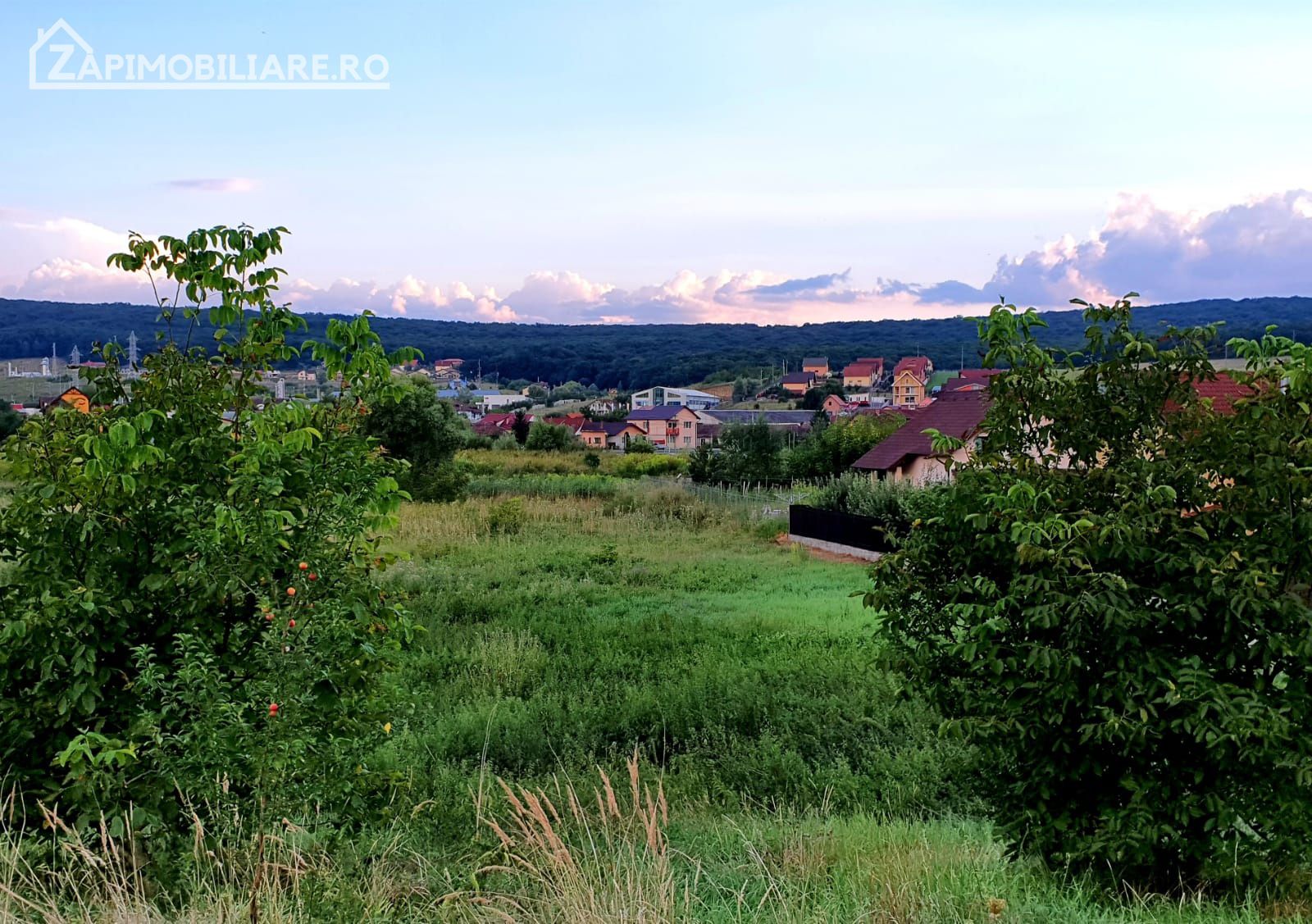 Teren intravilan 5.700 mp in Corunca,zona castelului,34 eu/mp — fotografia 3