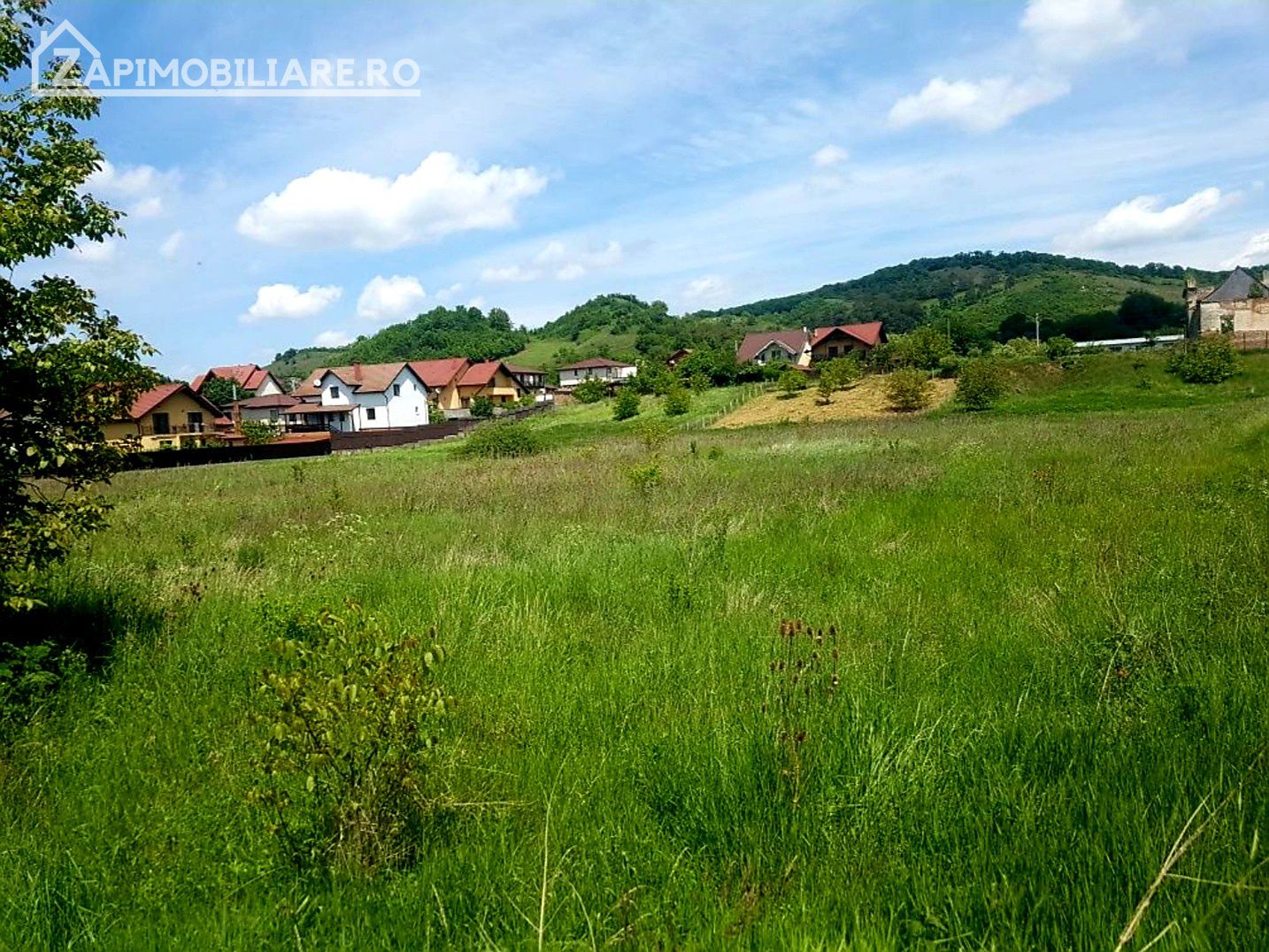 Teren intravilan 5.700 mp in Corunca,zona castelului,34 eu/mp — fotografia 5