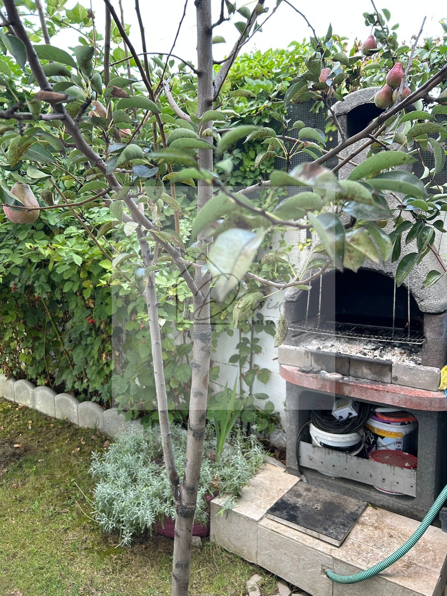 Vila de vanzare in Tunari I Gata de mutat I 4 camere 5 parcari  COM0% — fotografia 26