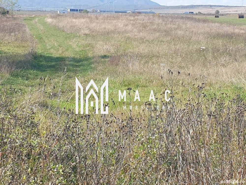 Teren Intravilan | 3.900 Mp Talmaciu |