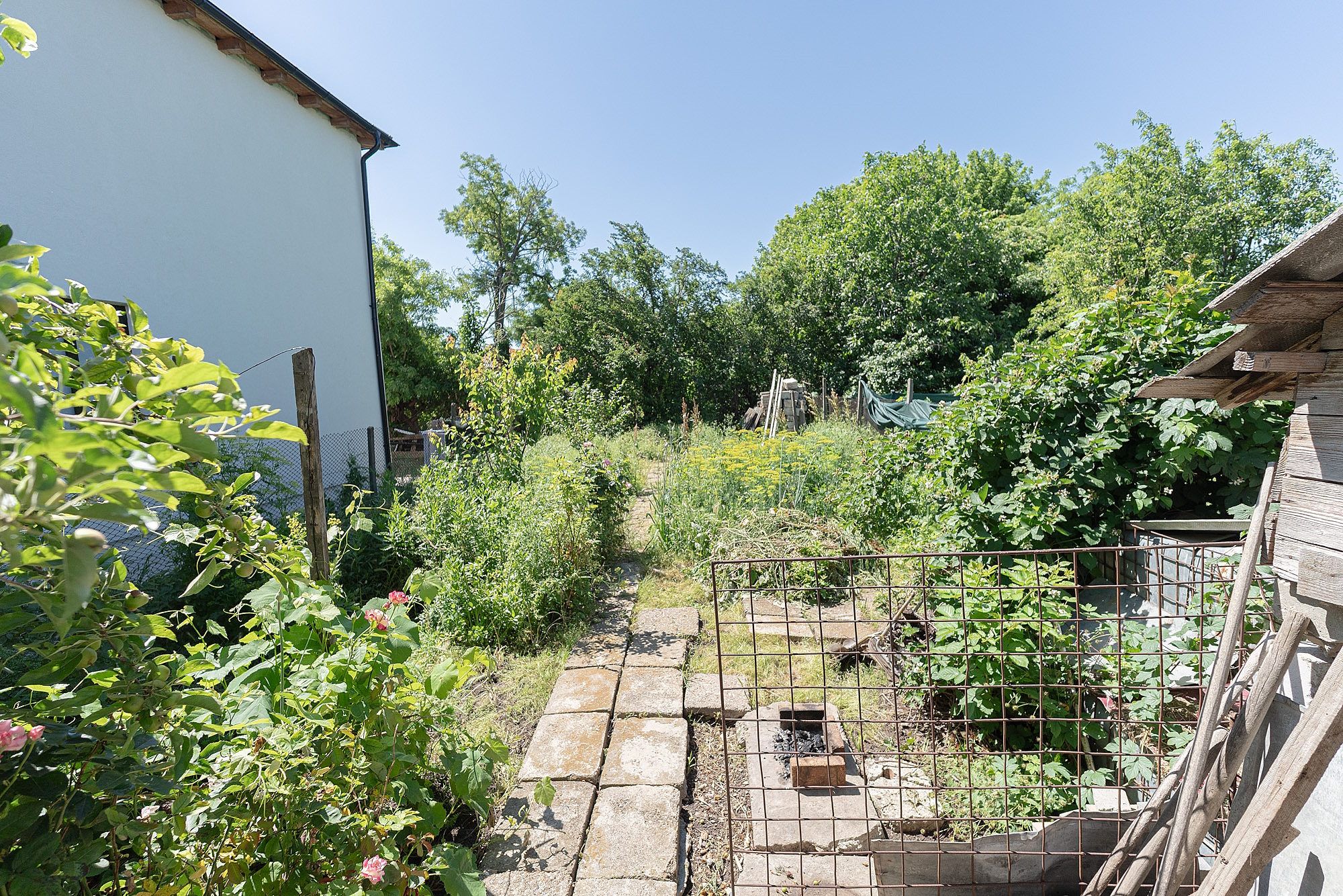 Casă 3 camere, 368mp teren, supr. utila 90mp, pe str. Focșa din Tecuci — fotografia 16