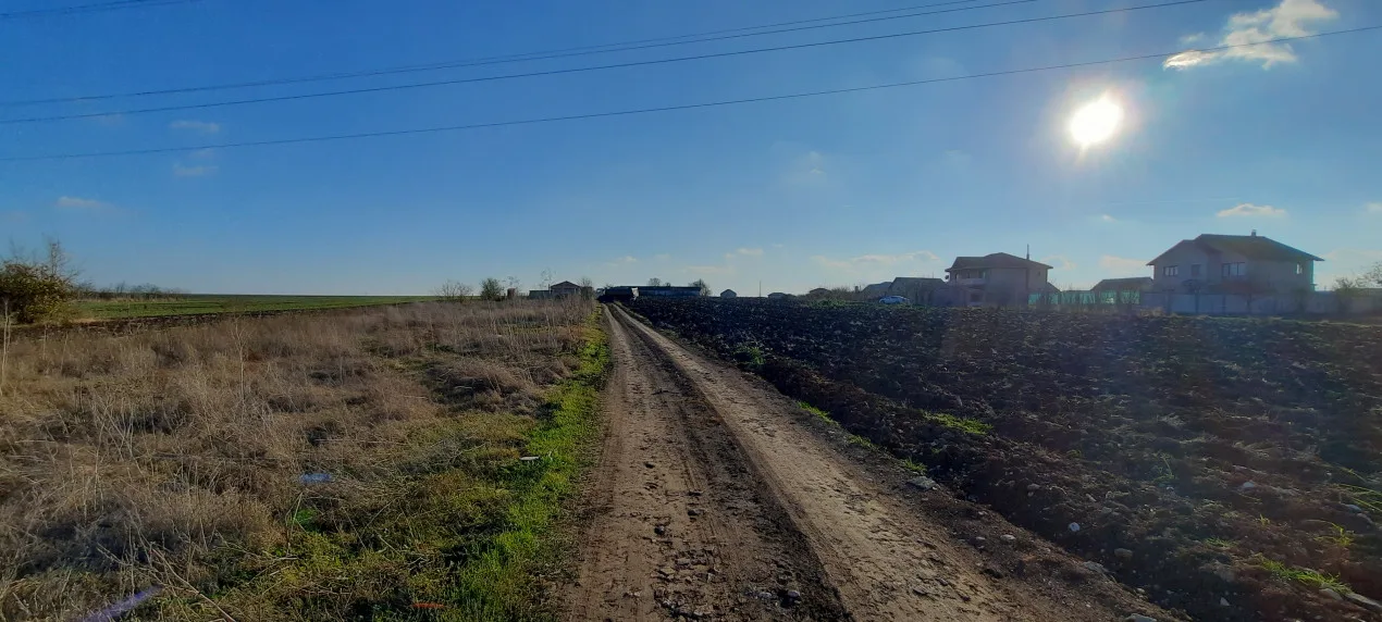 Teren Investiție 4750 mp Limanu - Parcelabil, lângă Mangalia — fotografia 5