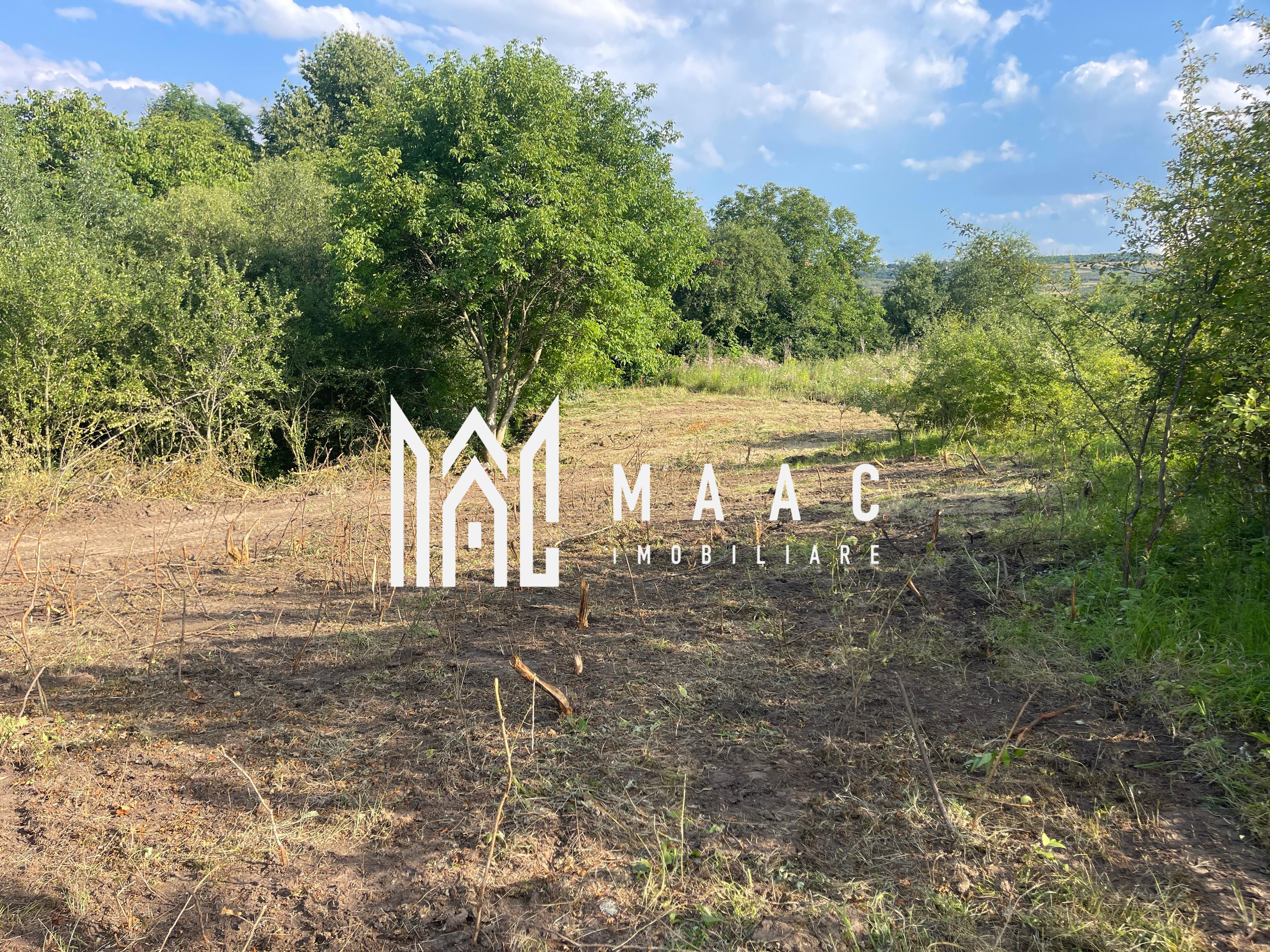 Teren Intravilan 10.350 mp | Colonia Becas I Cluj Napoca — fotografia 13