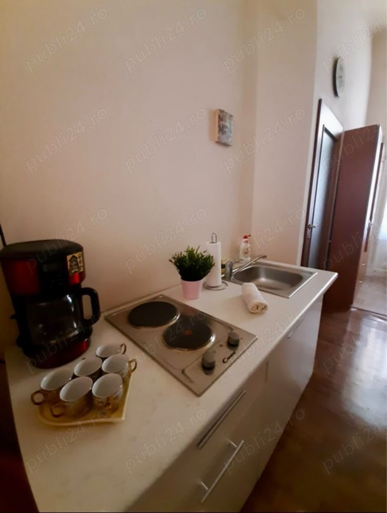 APARTAMENT ULTRACENTRAL IN PIAȚA VICTORIEI - 420 eur — fotografia 5