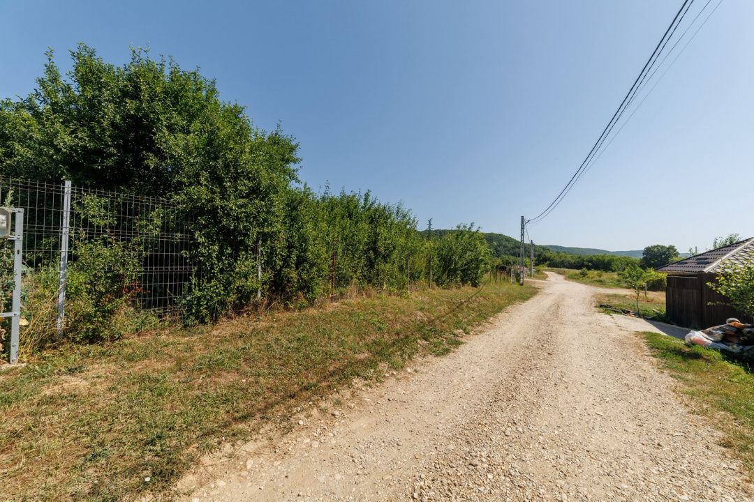 Teren intravilan Ștefănești Valea Mare Podgoria — fotografia 2