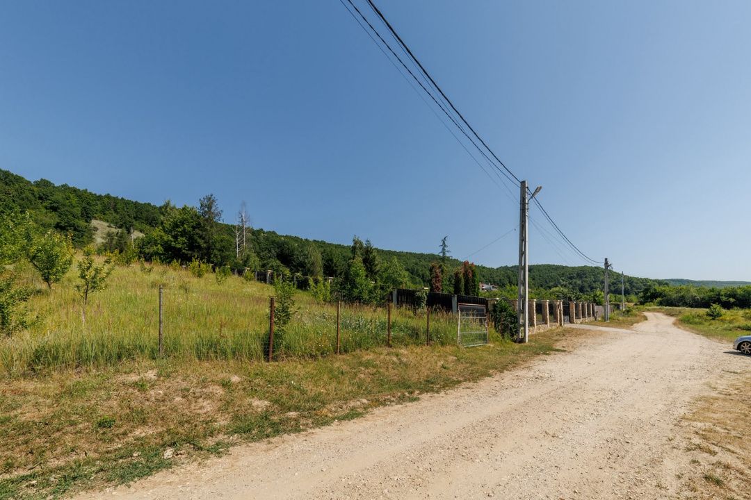 Teren intravilan Ștefănești Valea Mare Podgoria — fotografia 3