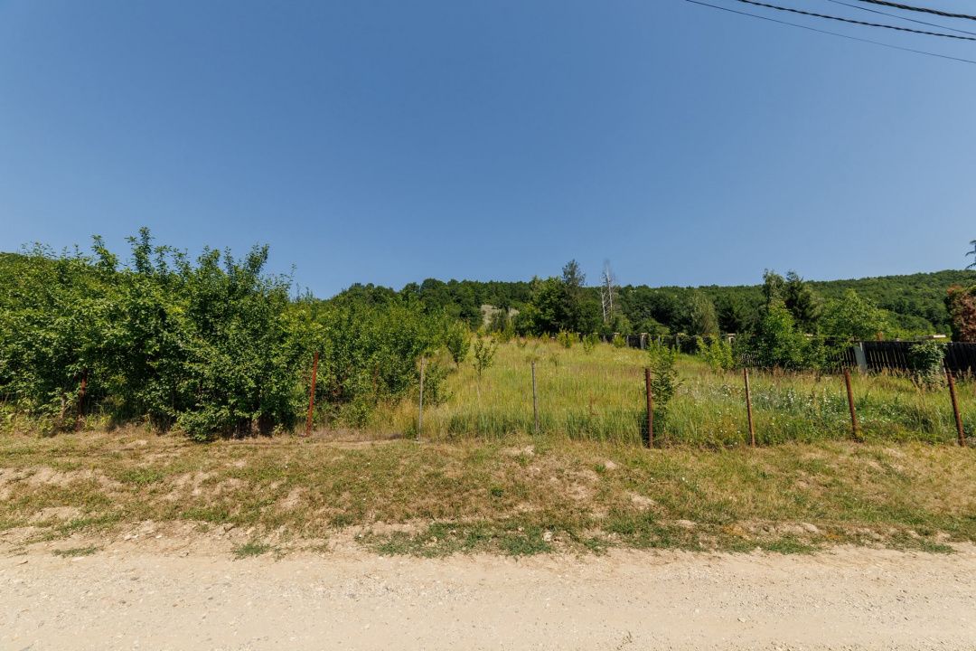 Teren intravilan Ștefănești Valea Mare Podgoria — fotografia 4